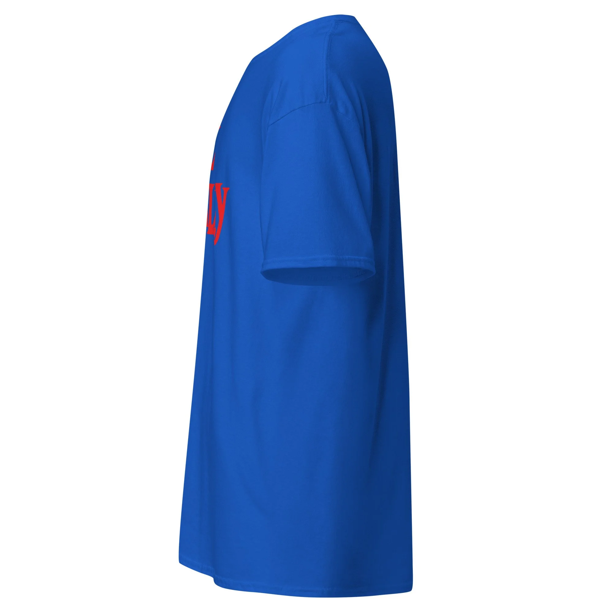 unisex-classic-tee-royal-left-6a96ffe54c0a8.jpg