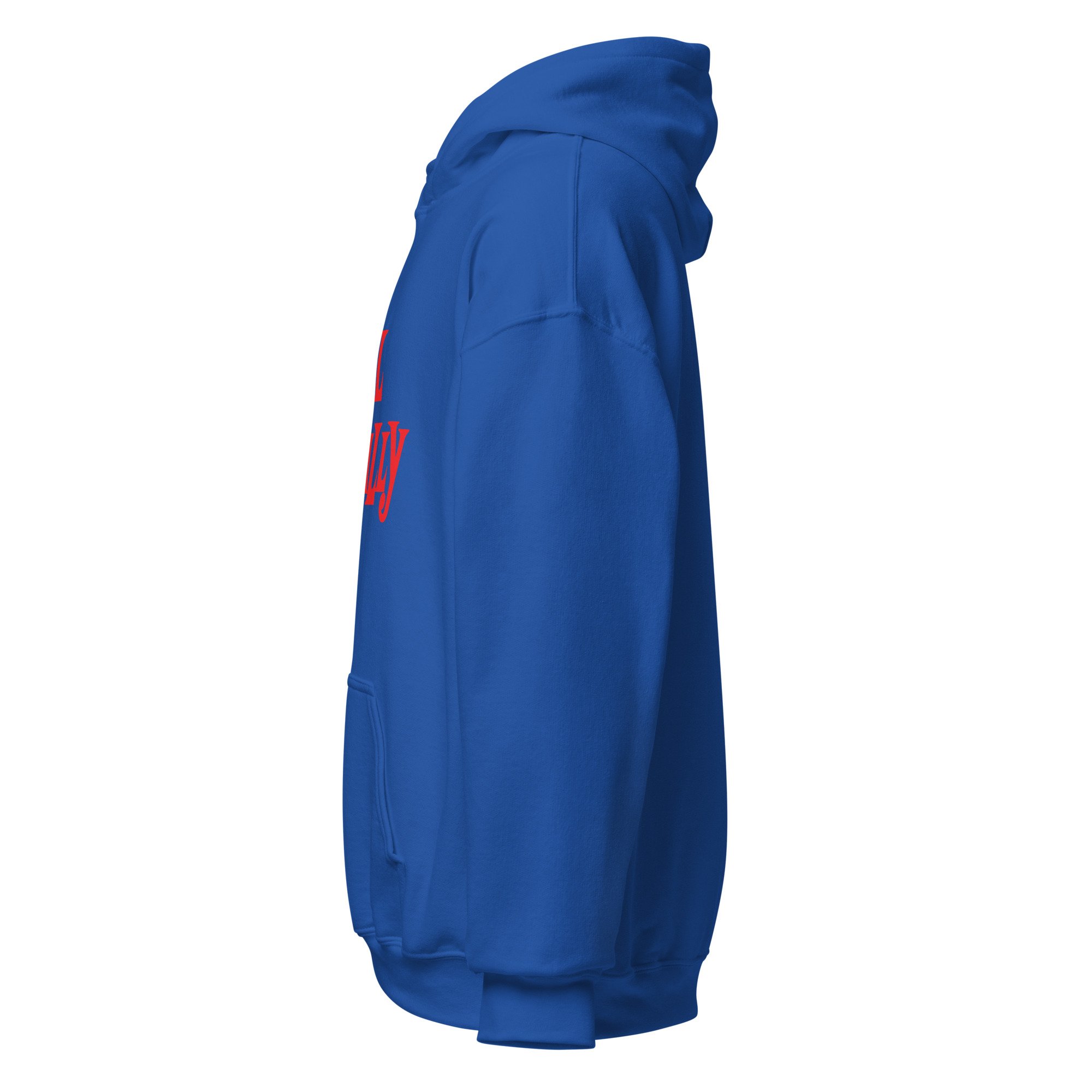 unisex-heavy-blend-hoodie-royal-left-6a97010fe3bd8.jpg