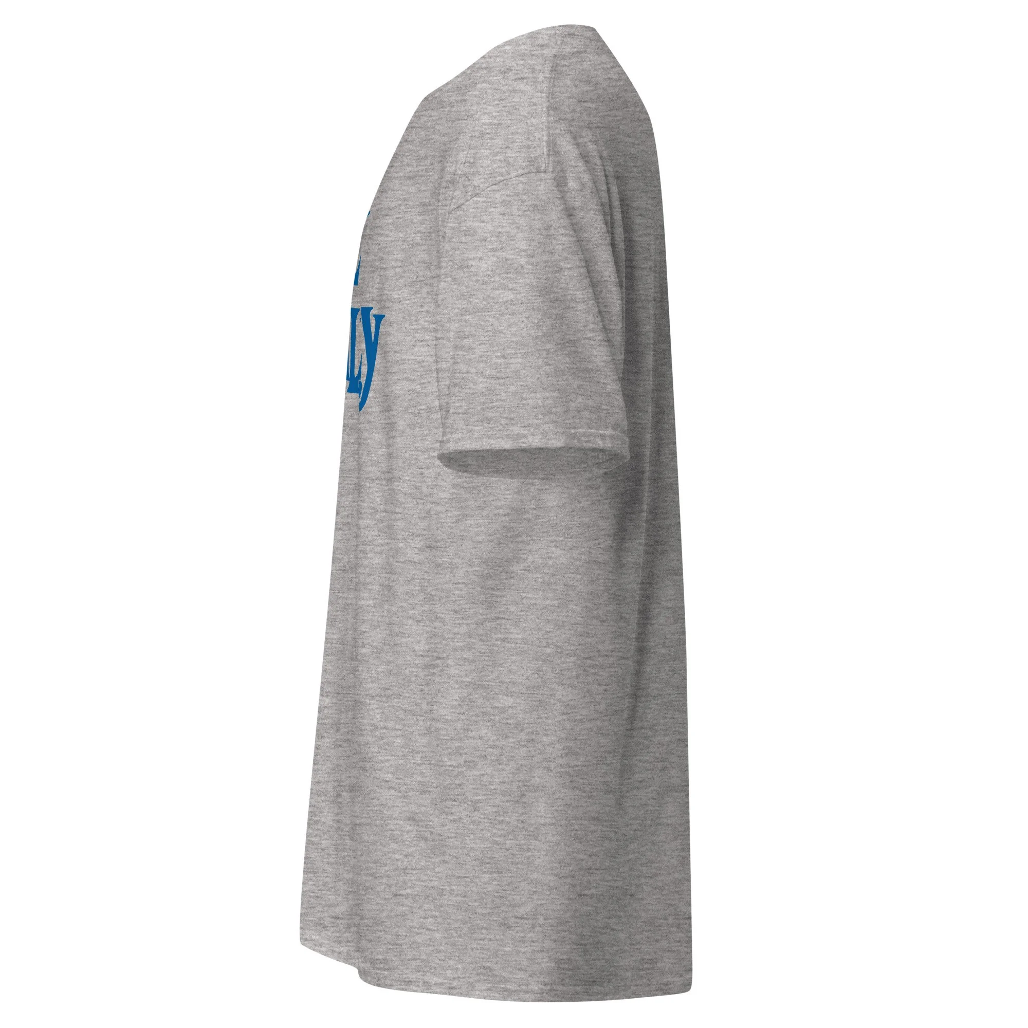 unisex-classic-tee-sport-grey-left-6a970c22afac9.jpg