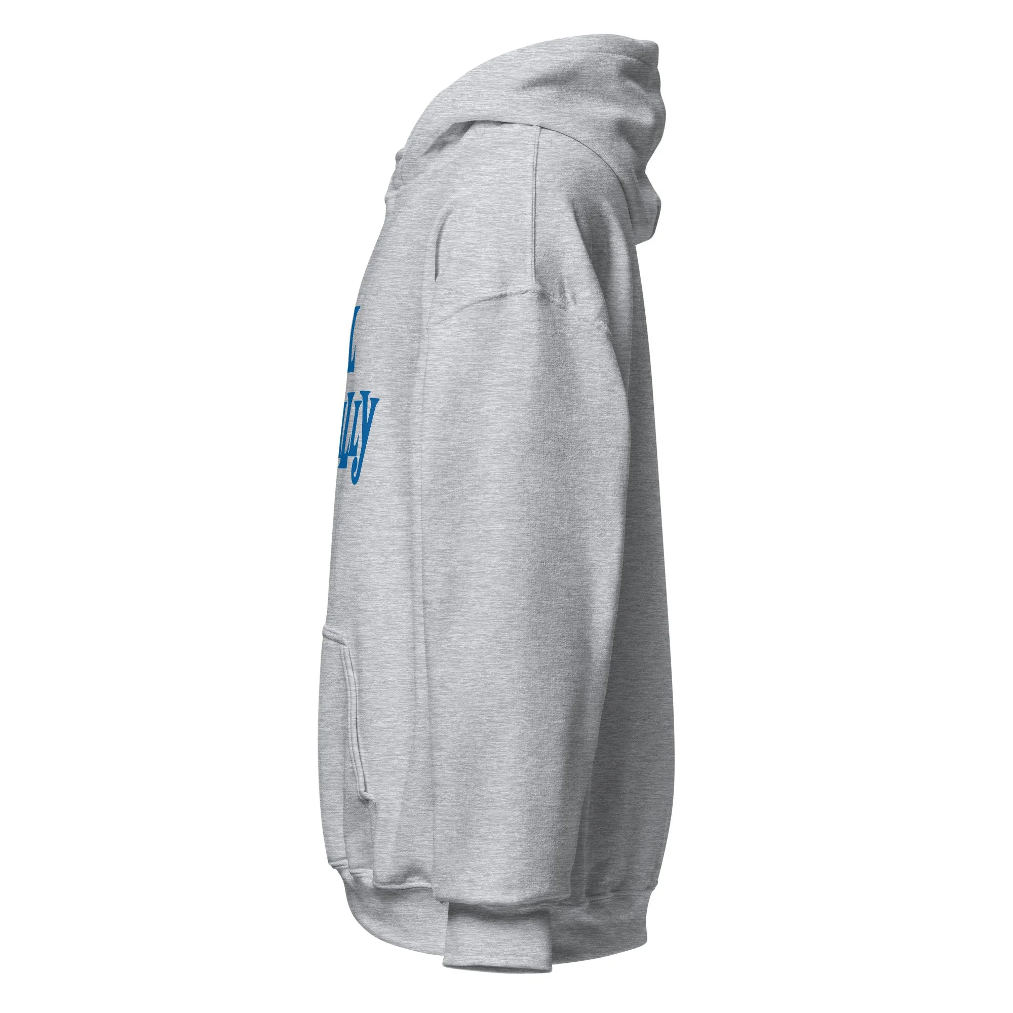 unisex-heavy-blend-hoodie-sport-grey-left-6a970d1b9c091.jpg