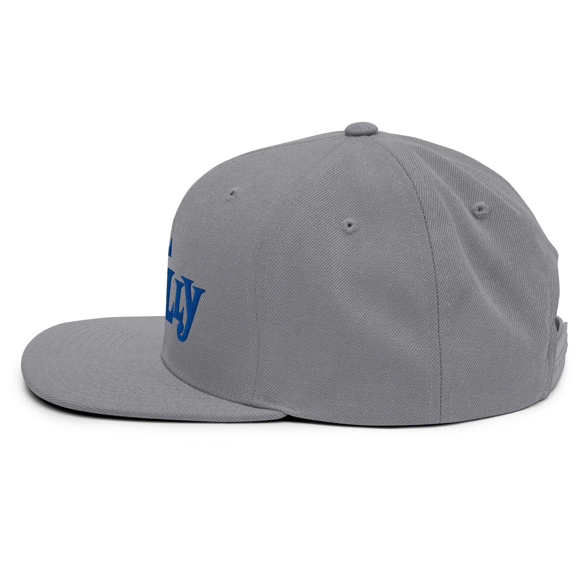 classic-snapback-silver-left-side-6a9711219dee5.jpg