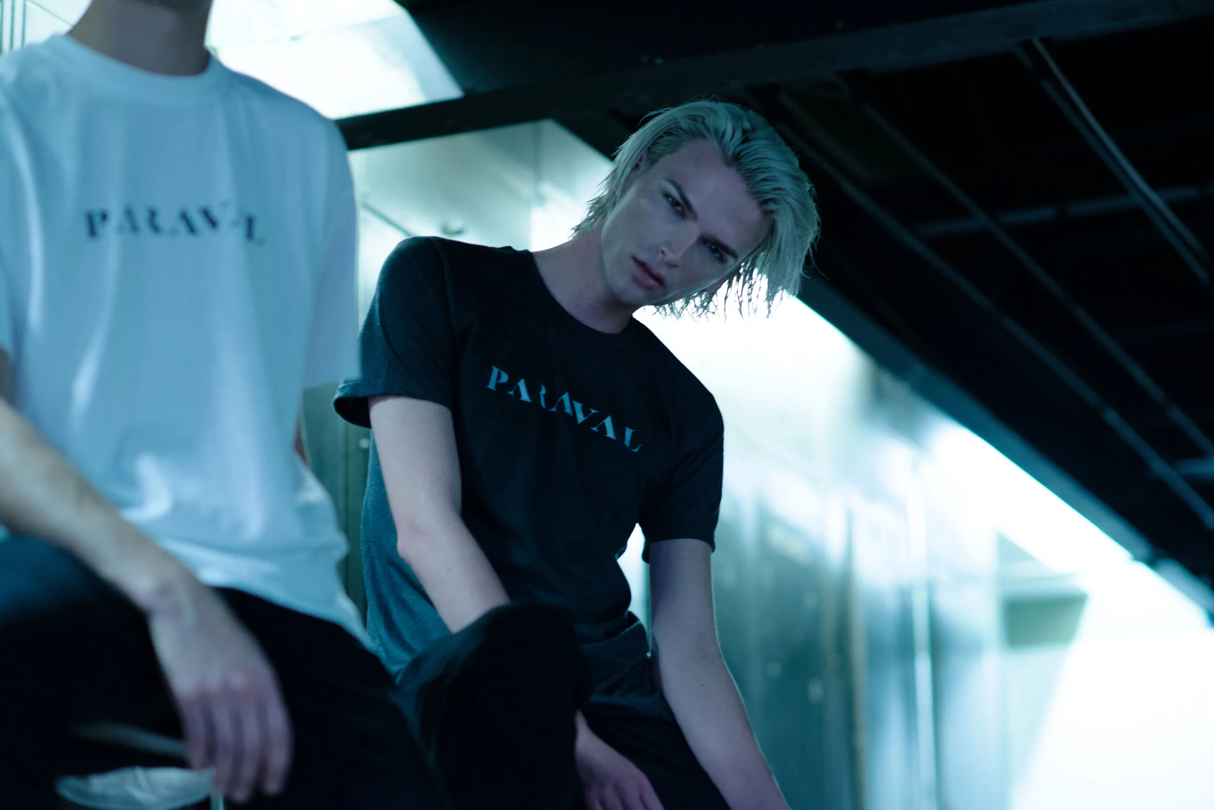 paraval 16'3686_1.JPG