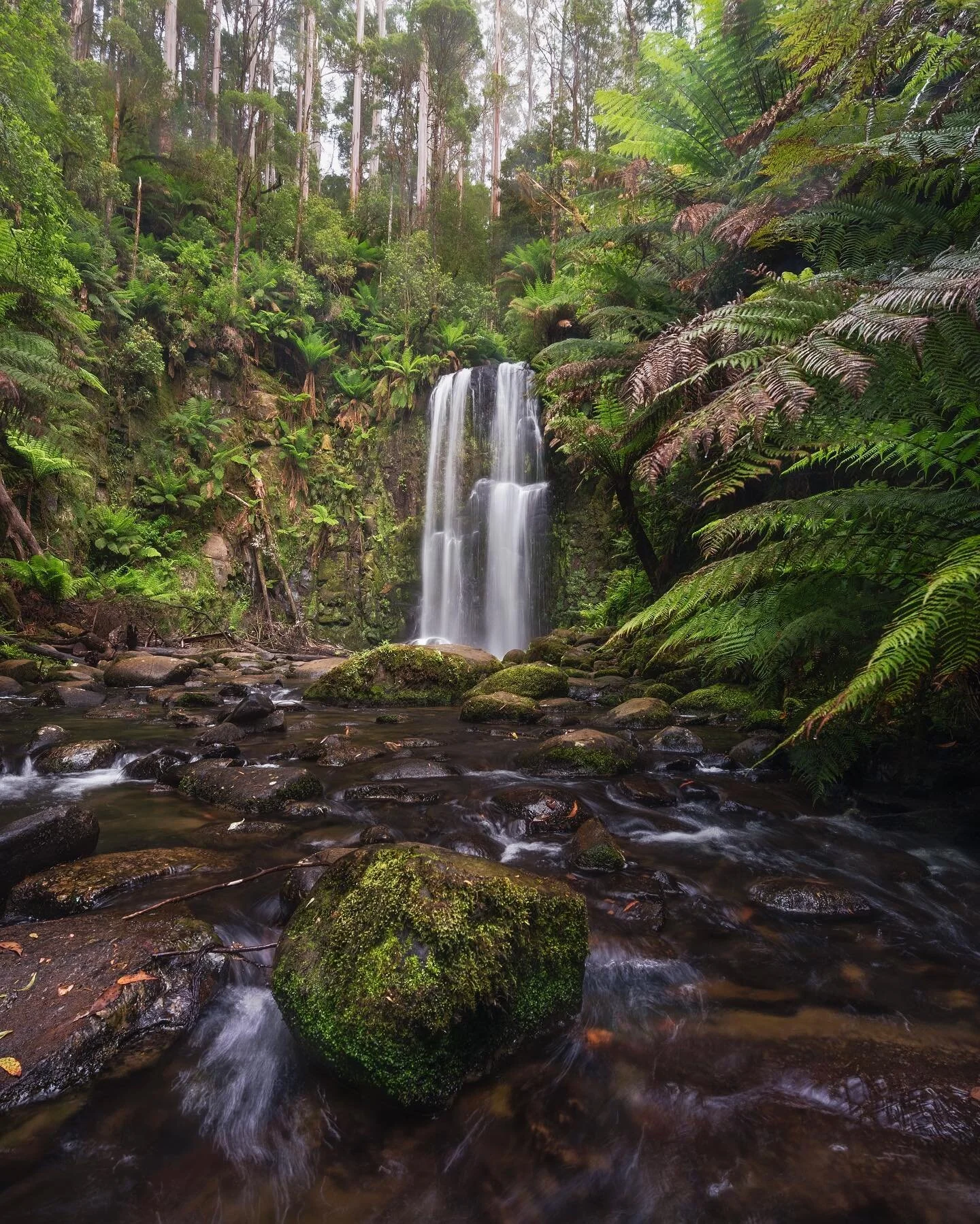 After being closed for about two years Beauchamp Falls is looking beautiful and lush there is a newly redeveloped campground 
Please remember to respect the environment and leave it looking the same or better than you found it 
______________________