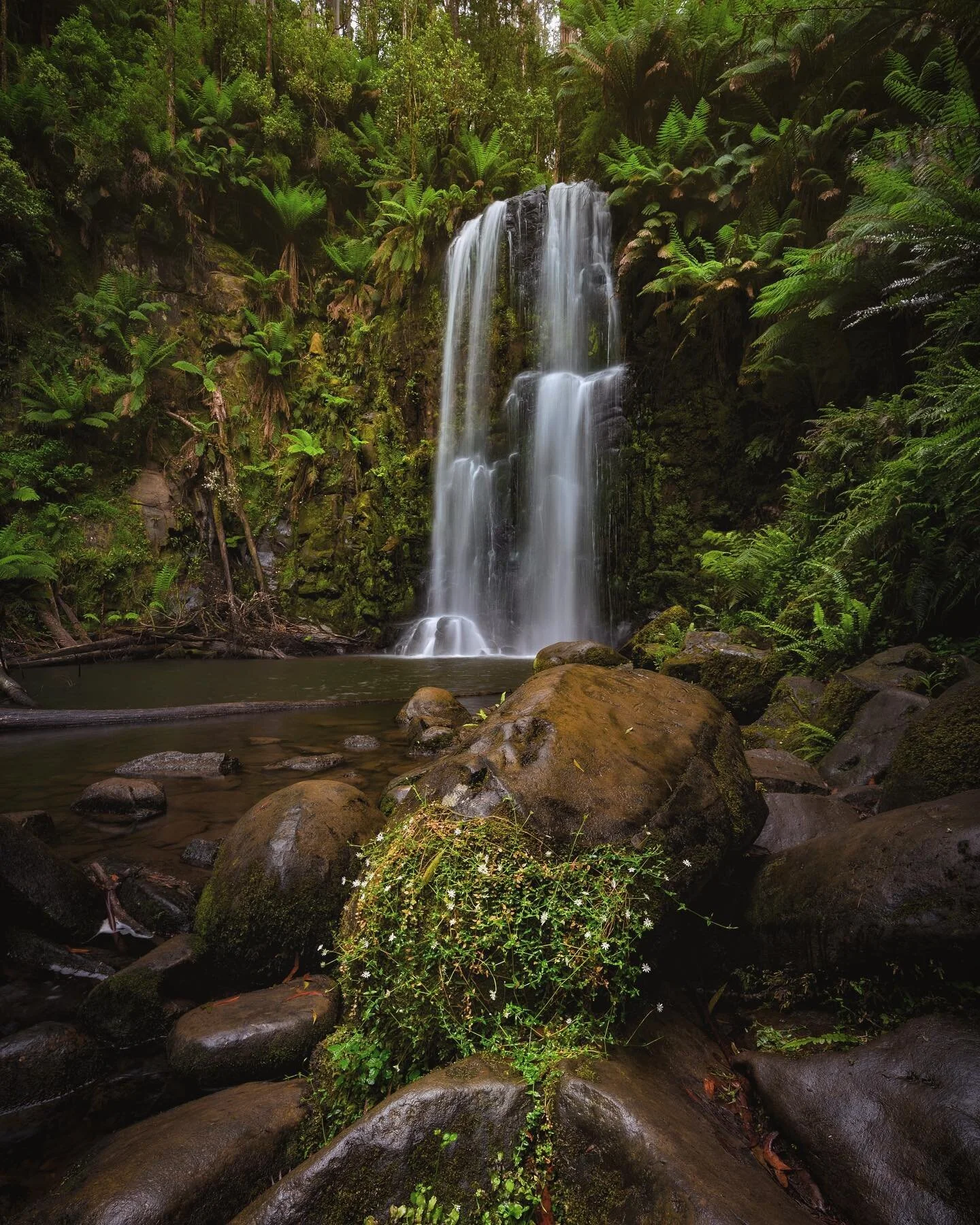 Another image from Beauchamp falls on my last trip there @shellingdownsouth I also put together a little bit of a vlog over on youtube if you would like to see some of the behind the scenes go check it out I'll leave a link in my Instagram stories 
_