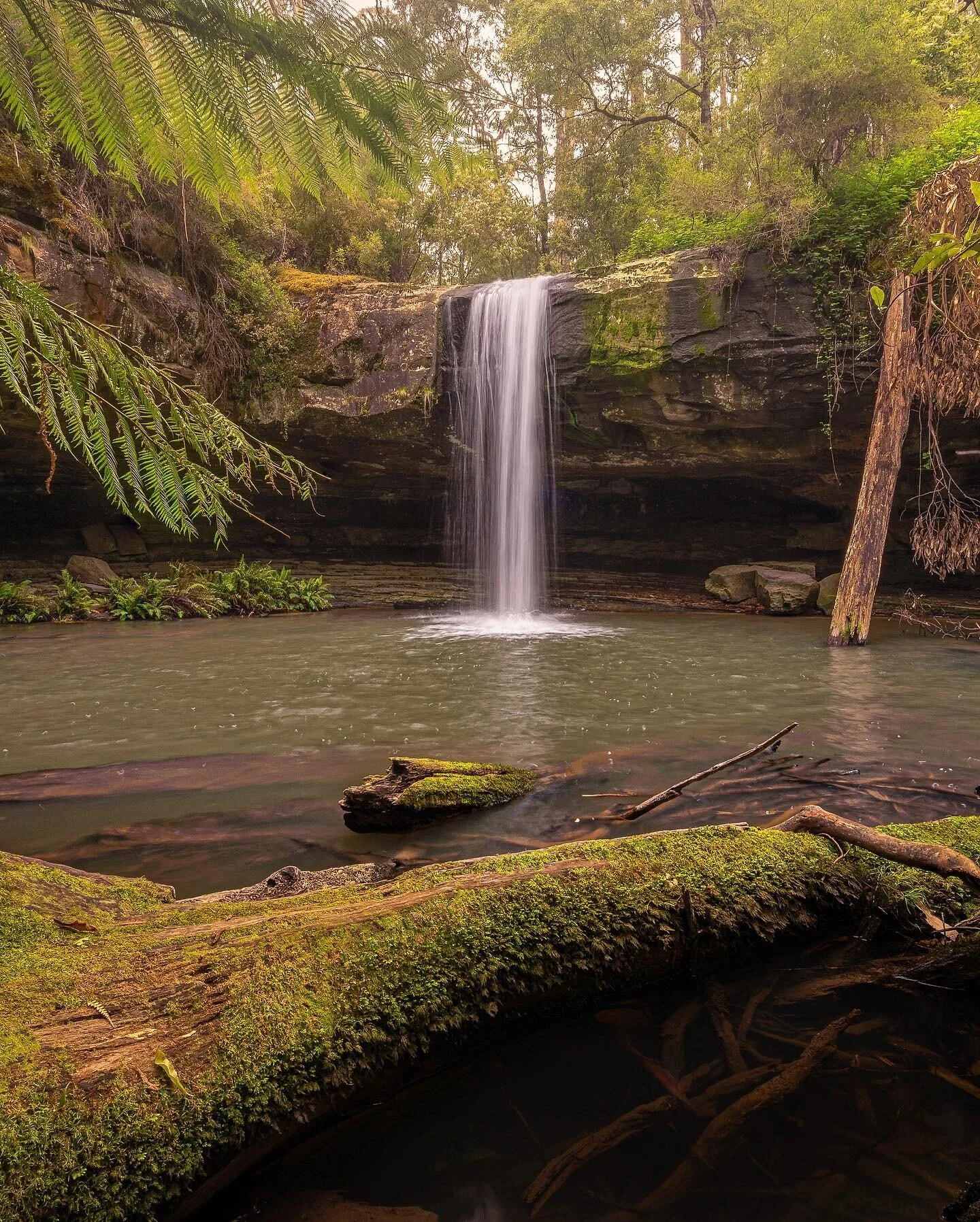 This is Lower Klimna falls near Lorne in the Otway National Park 
This is a must visit Waterfall near Lorne it&rsquo;s beautiful and it&rsquo;s different because you can walk behind the falls and look through the flowing water 
______________________