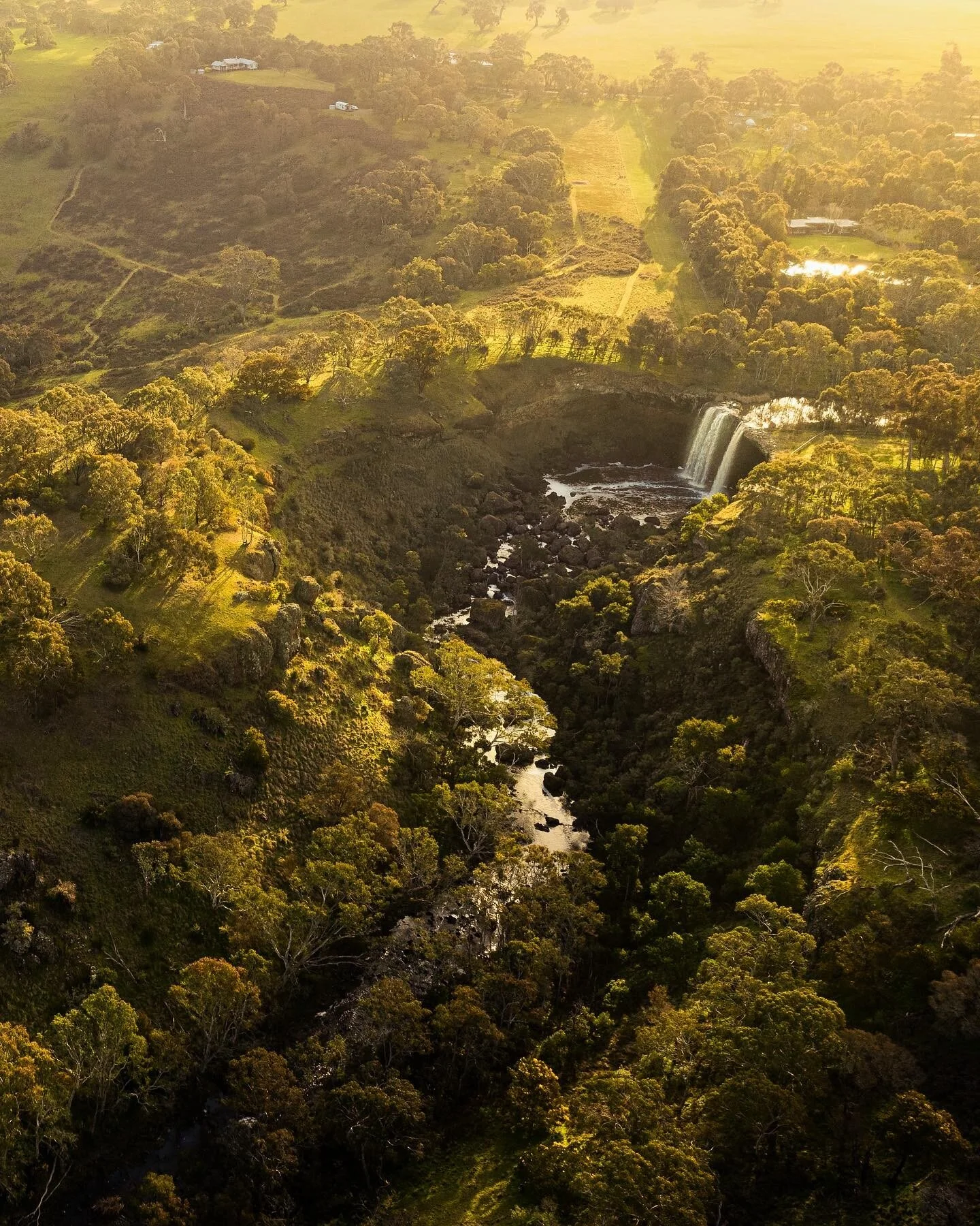 The last of the golden light as the sun sets over the Wannon falls valley 
________________________________
I'm an authorised NiSi filters, Sirui &amp; Explorer tripod reseller Dm me or check out my website 
Prints are also available 
_______________