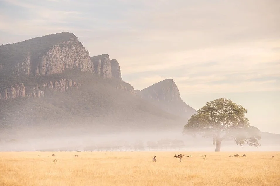 I've been chasing a panoramic image from this location at the Grampians for months, after getting up before sunrise to drive out here Saturday and Sunday morning with @shellingdownsouth I finally captured what I had been waiting for 
Nikon Z6
Nikon 2