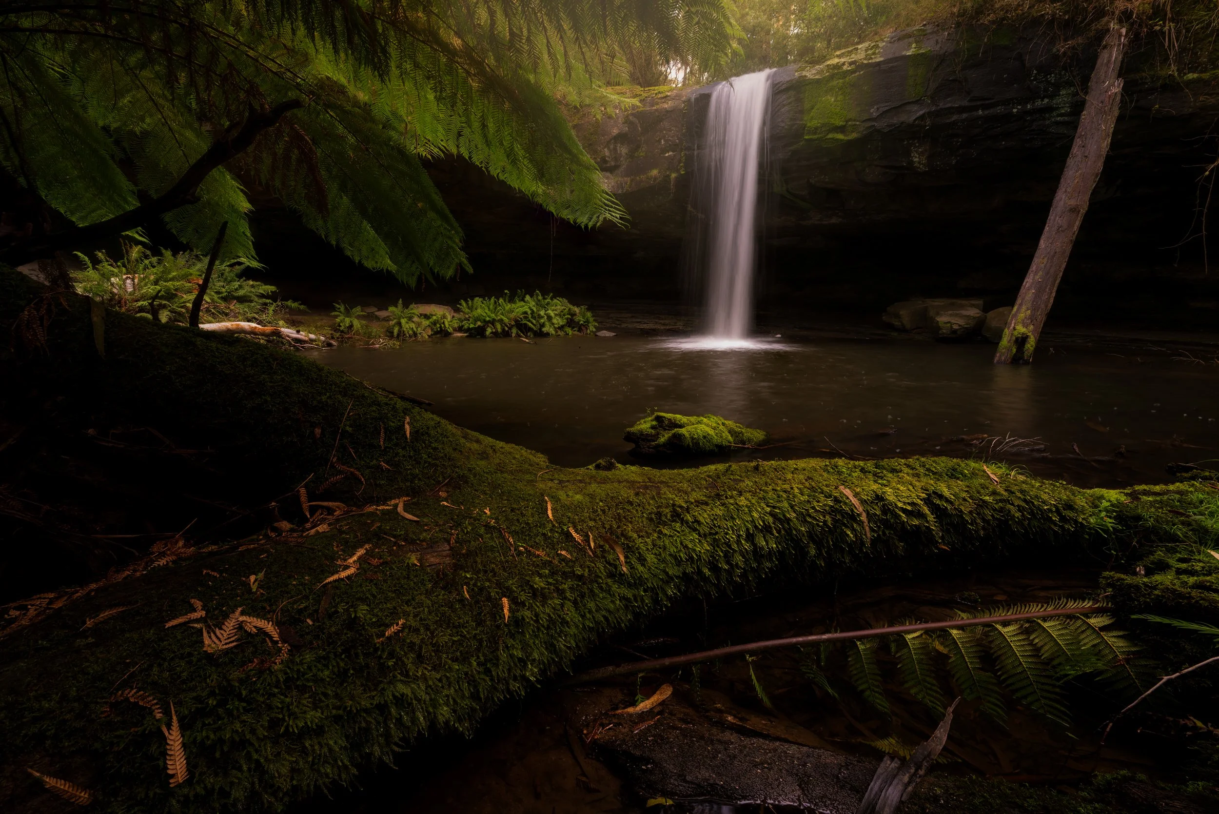 DSC_3295-Edit-Edit.jpg