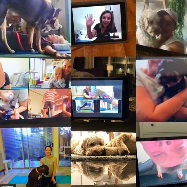 Our Zoom classes have been awesome, despite various technical difficulties. We will miss all the dogs, babies, sunsets from balconies, and guest appearances from family members. Thank you so much for joining us over the last 9 weeks. Remember there are still some online classes on the timetable if you want to continue to enjoy the Zoom fun!! #movementwithmeaning #pilatesadelaide #pilates #infinitypilateswestlakes #infinitypilatesandpersonaltraining #online #MindBody #zoom #pilateslovers #fitness #healthy #westlakes #pilateslife #classes #workout #training #fitness #2020 #strong #healthy #fallinlovewithmovement
#weareallinthistogether #stayhome #community #friendships