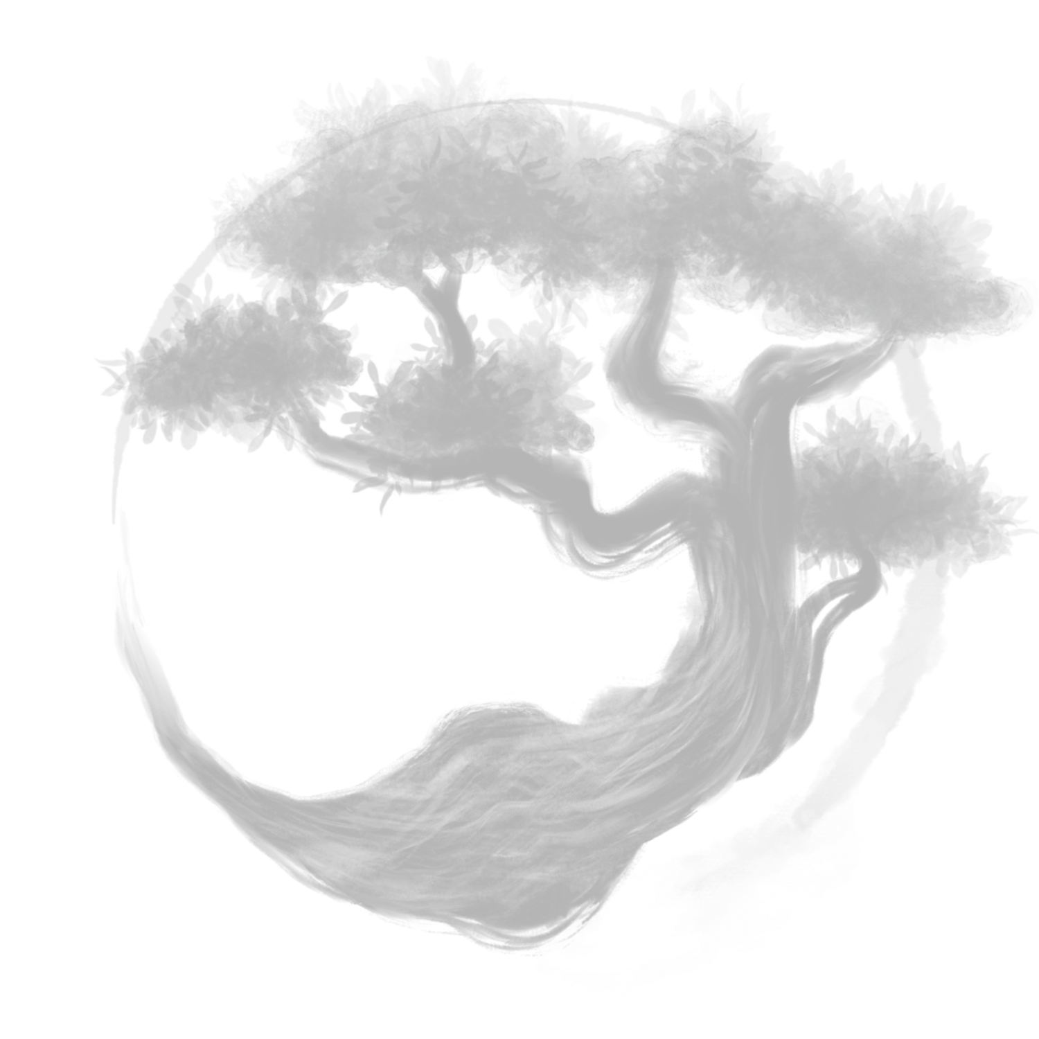 The Crooked Bonsai