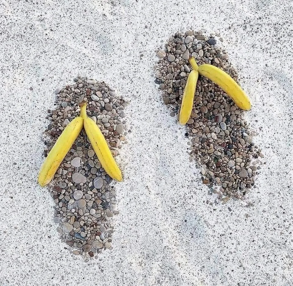 BOLD HEAD TRAIL
.
We are heading to this popular trail as the sun is out doing its early morning dance. 
.
Come down for a morning run or walk this Australia Day. Then get your toes sandy, stay for a beach stretch, a dip and a bev with a few new frie