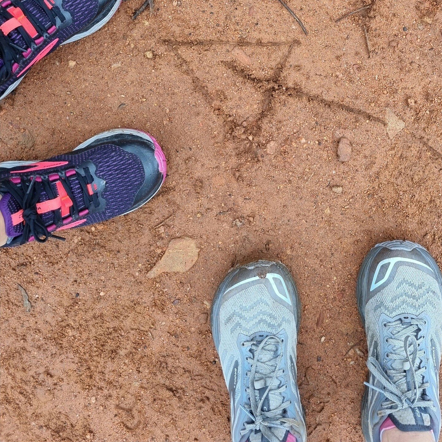 Nervous about getting lost?
 
Never fear, the Wild Ones tribe is here. Our number one thing that people say why they don't try trail running is that they are worried about being lost. That's where we can help. We plan out a loop so you can relax and 