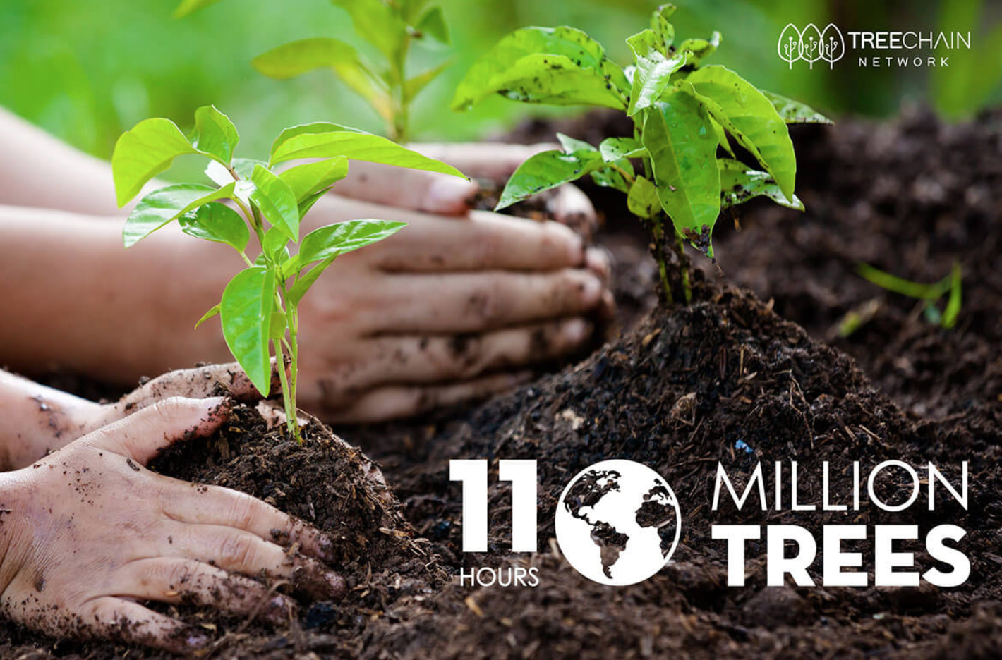 International Planting Day