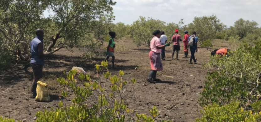 Eden Reforestation Project
