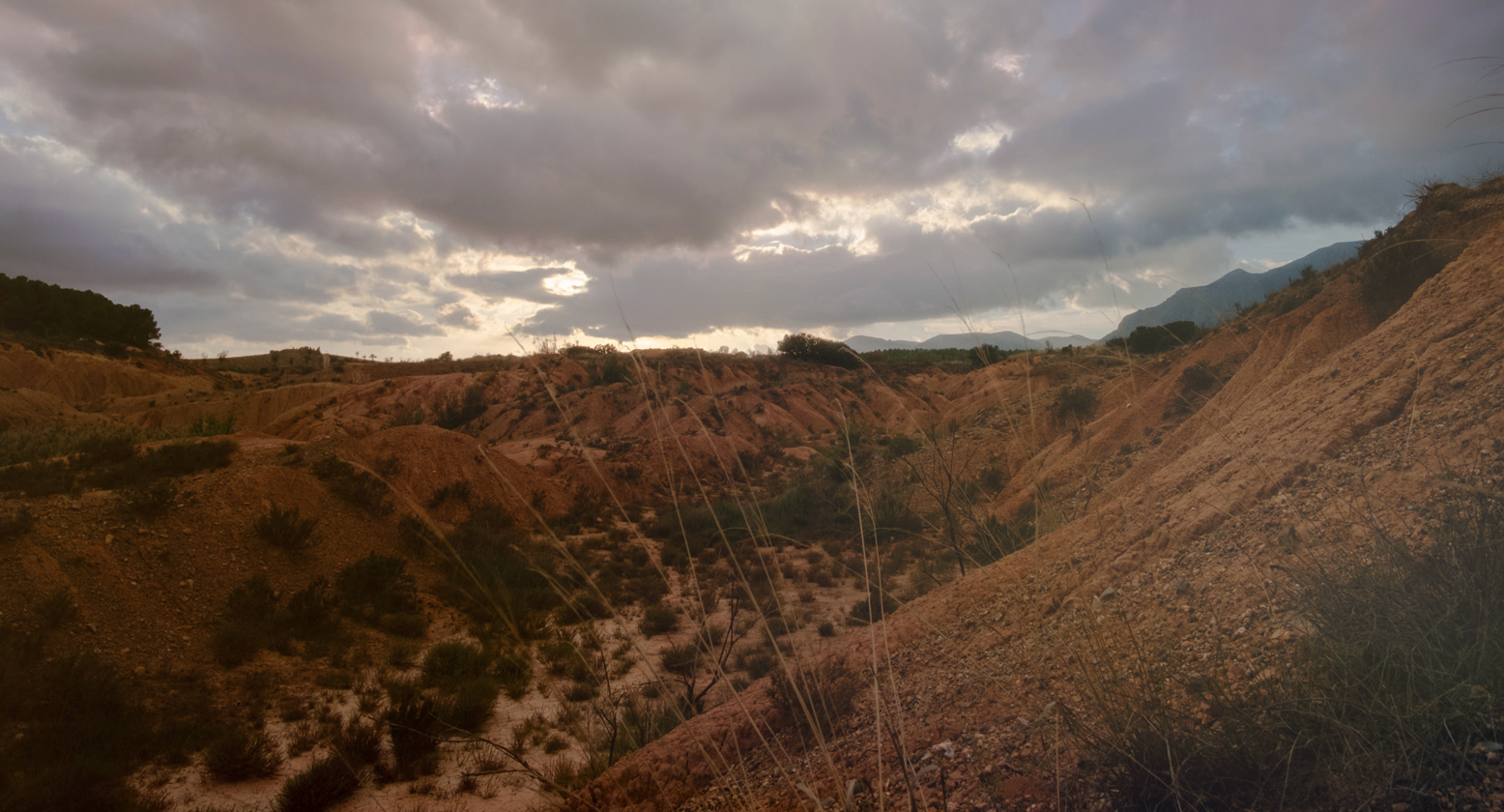 Soil regeneration with Alvelal