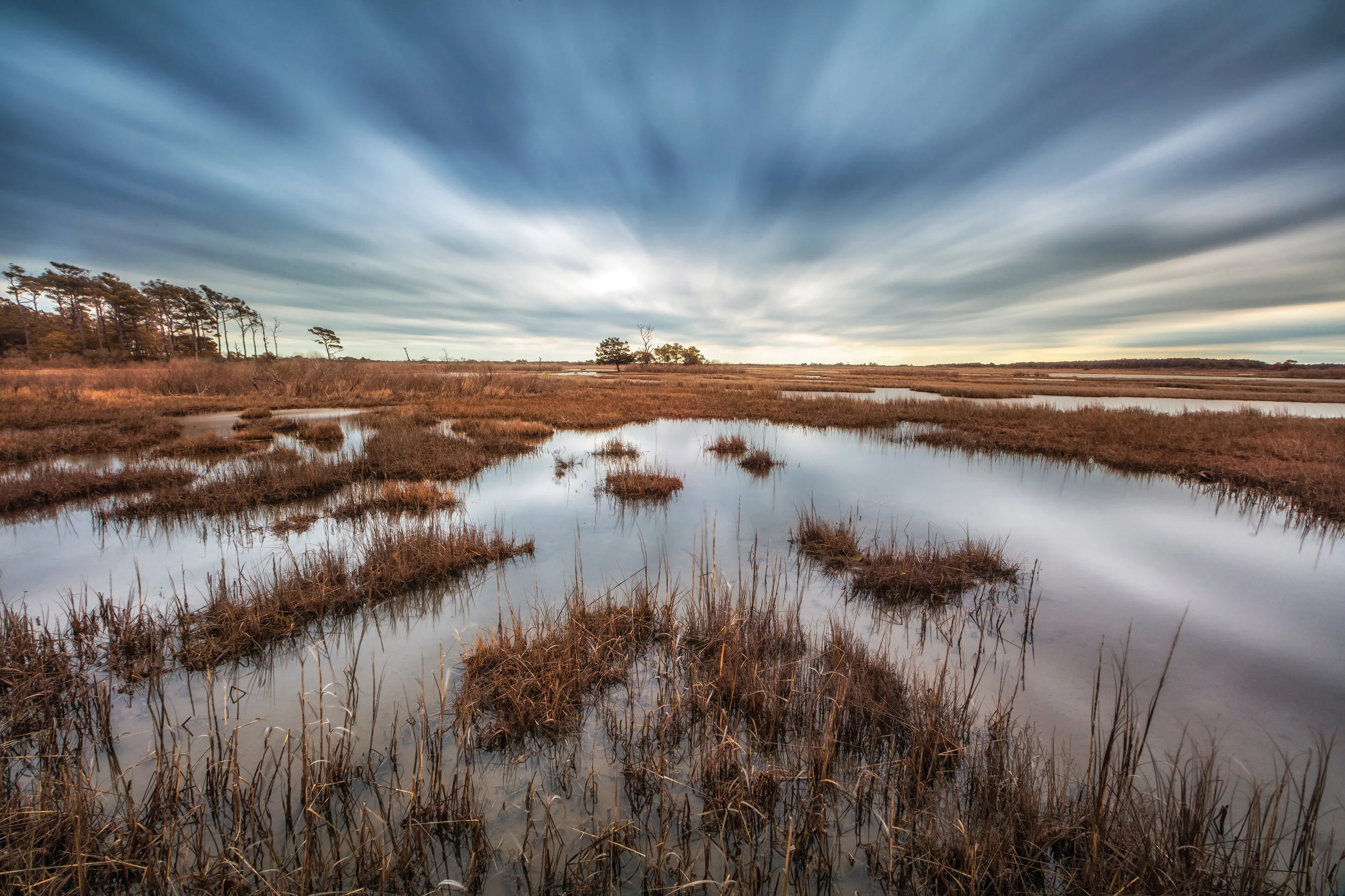 Assateague Color.jpg