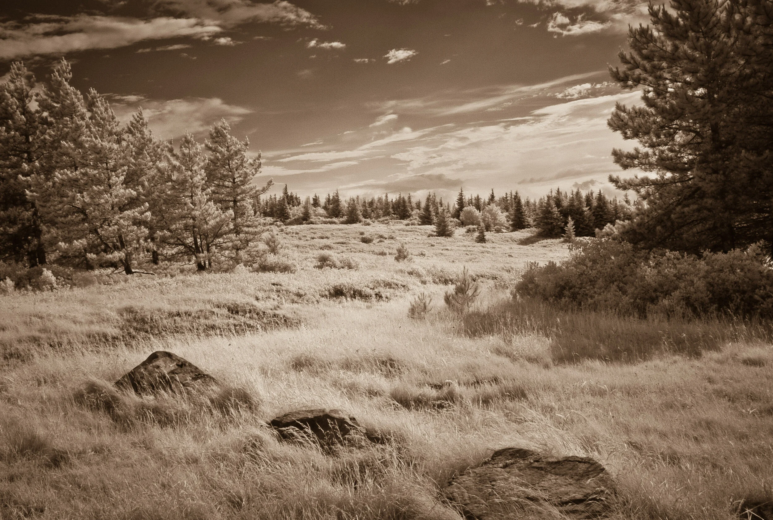 DSC_0059.jpg