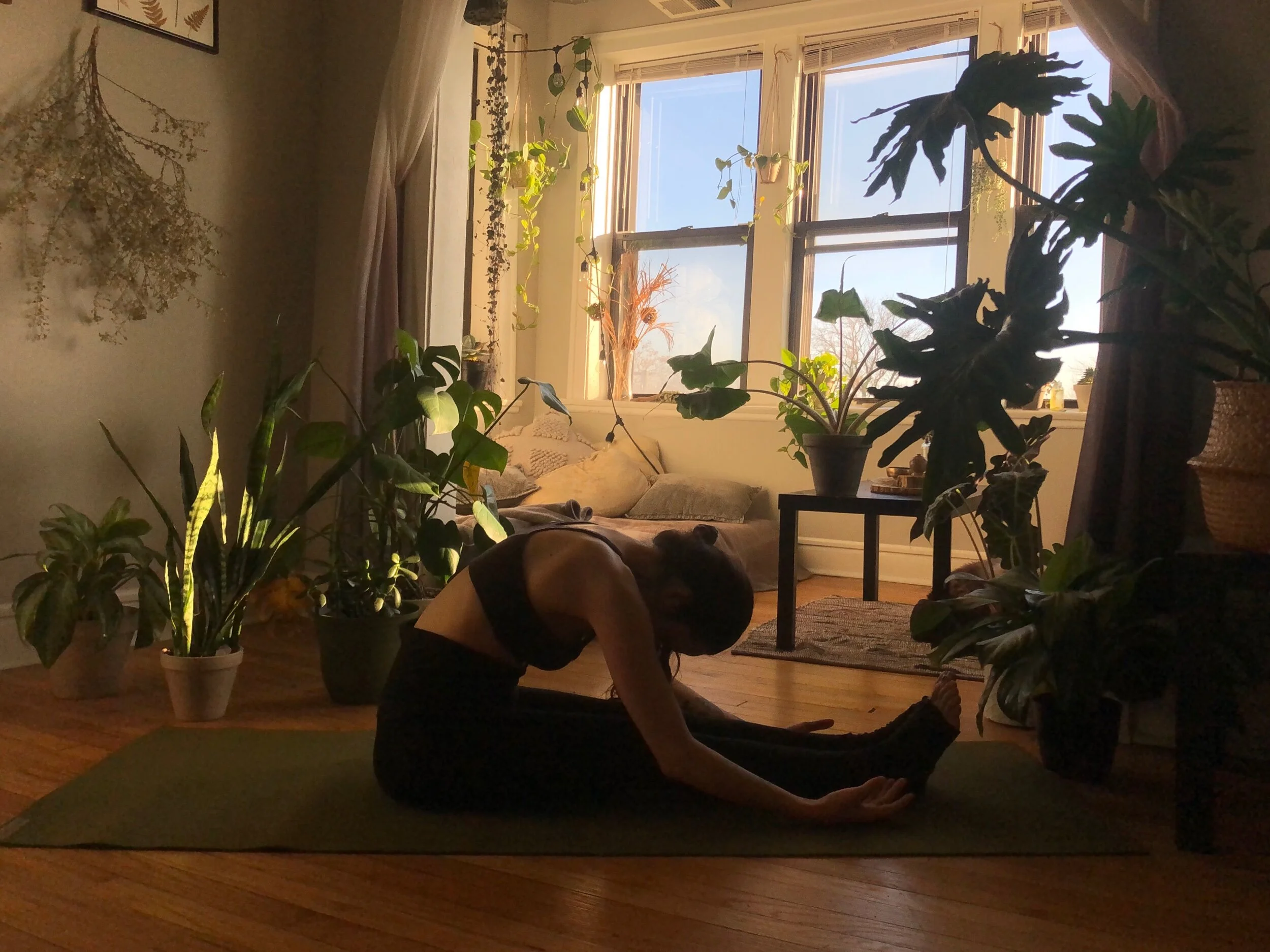 Yin Yoga Theory