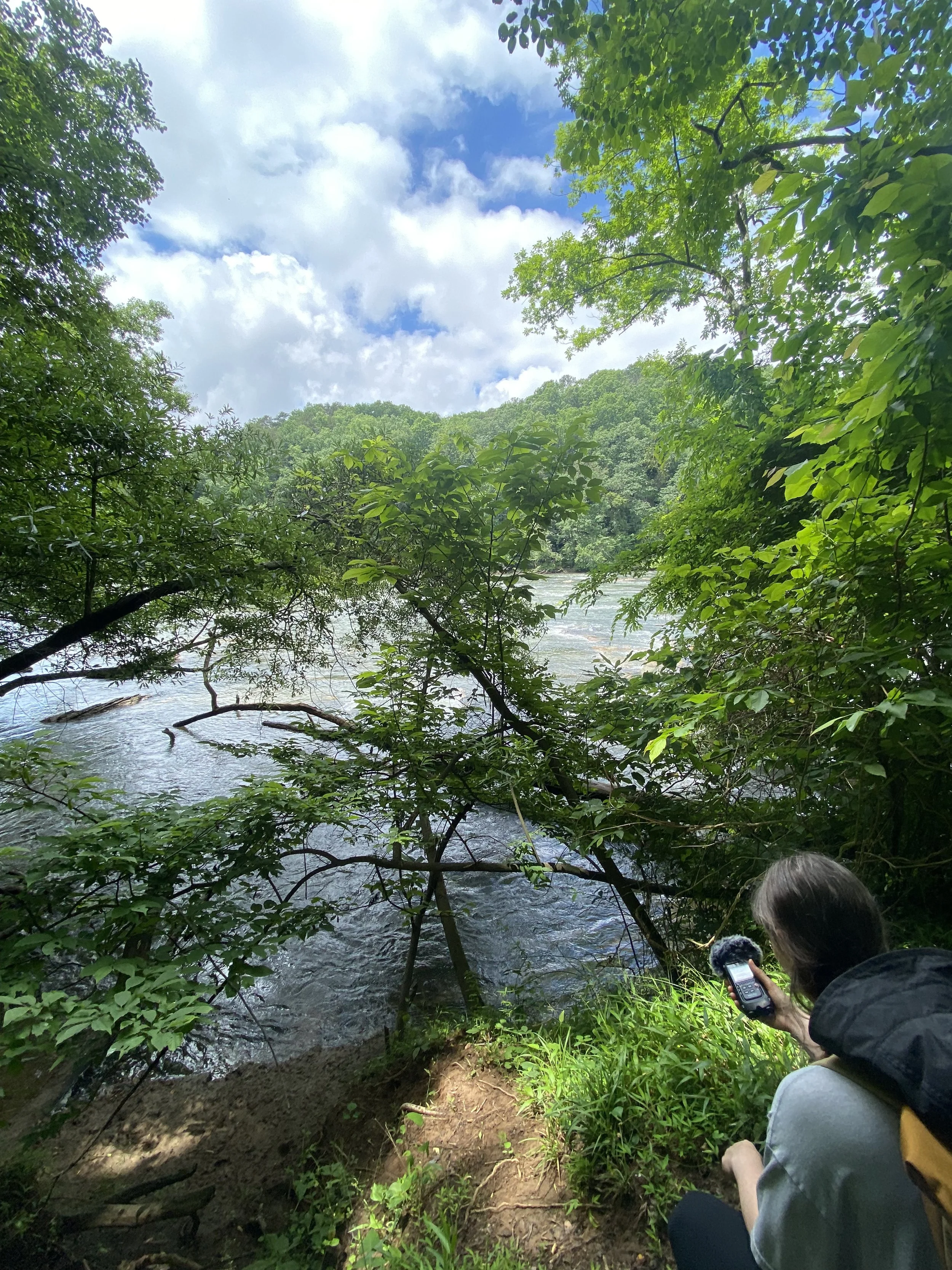 in_process_field_recording2.jpg
