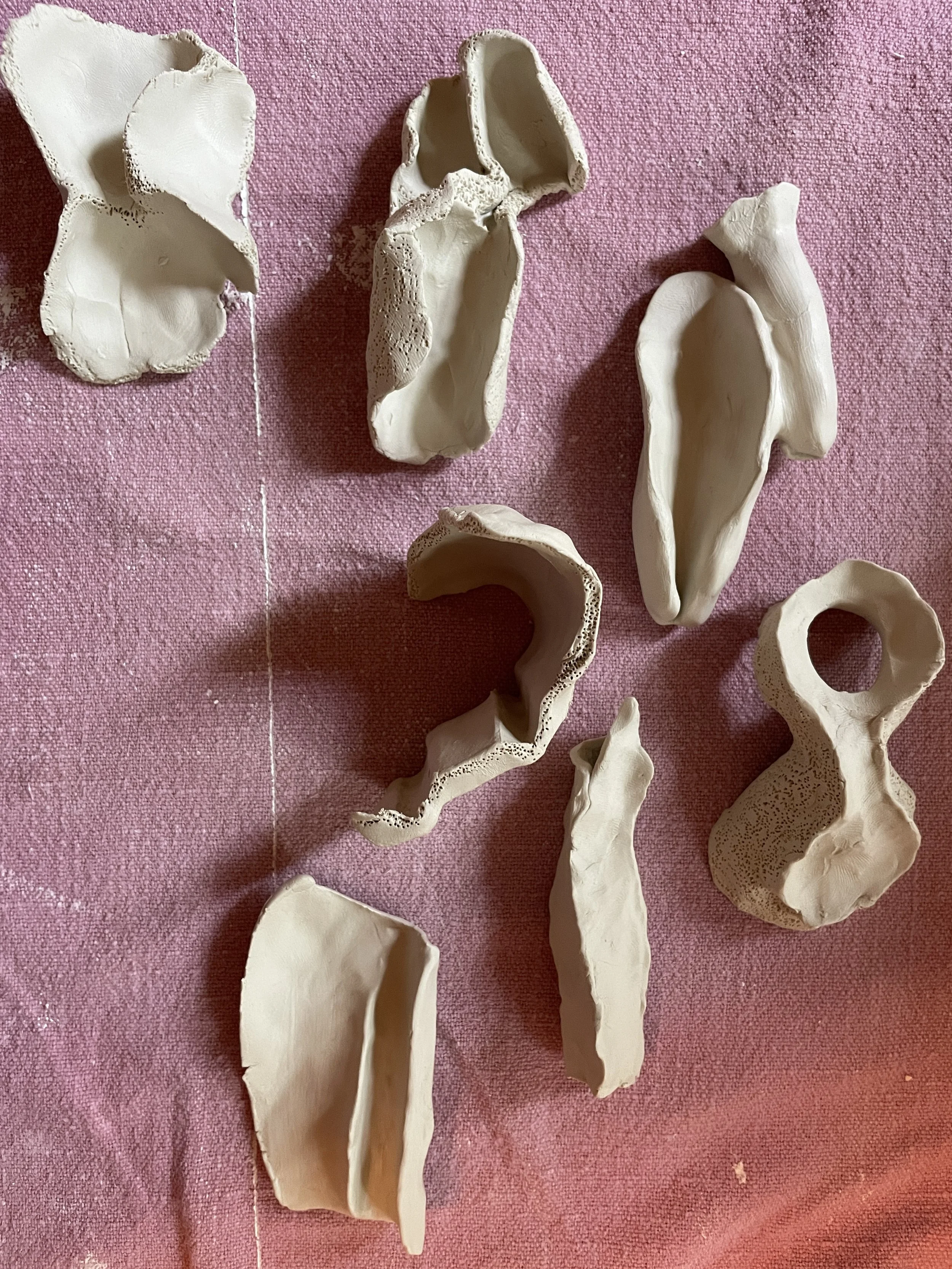 in_process_studies.JPG