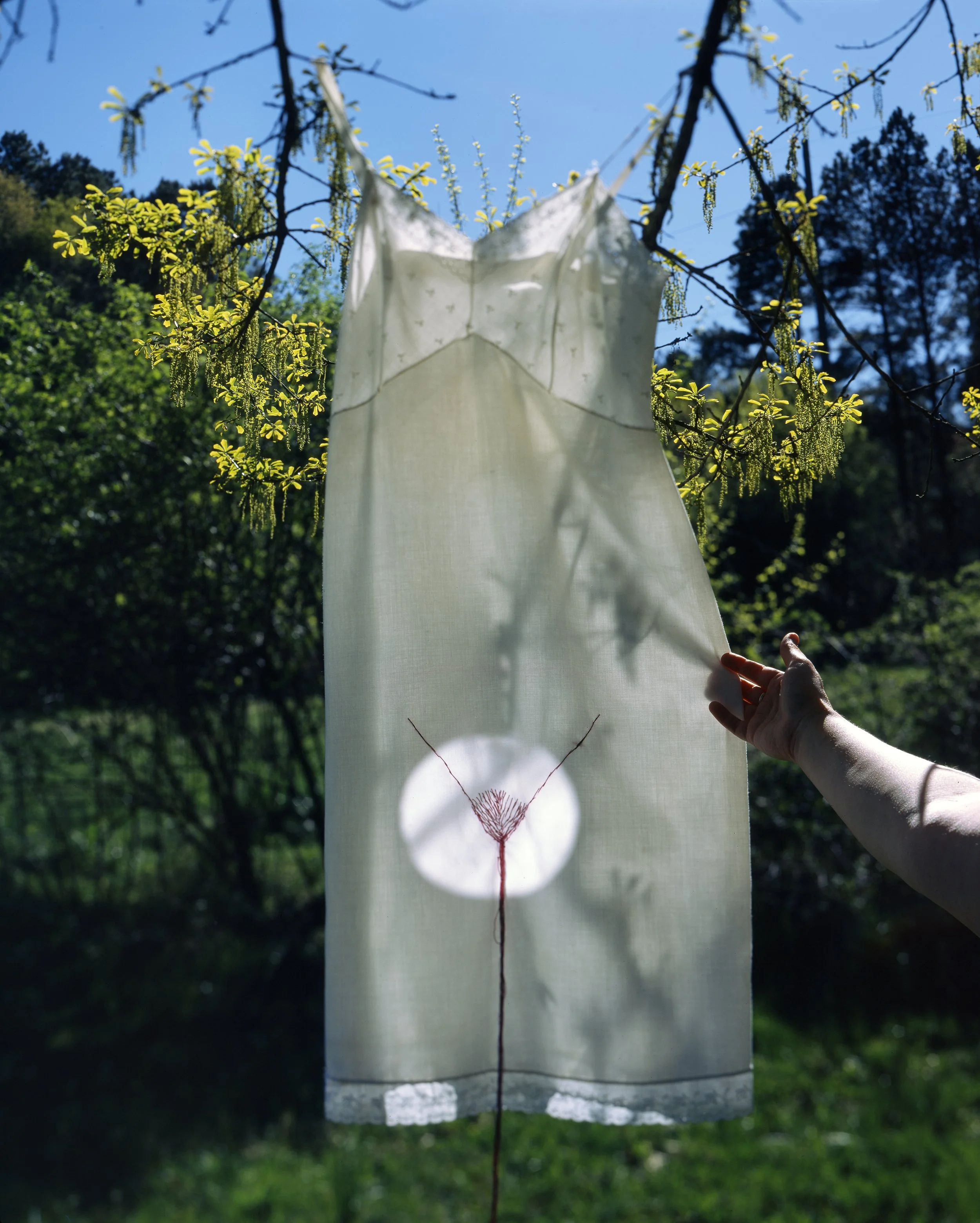 Kauschinger_Ashley_Sun and Moon - Ashley Kauschinger.jpg