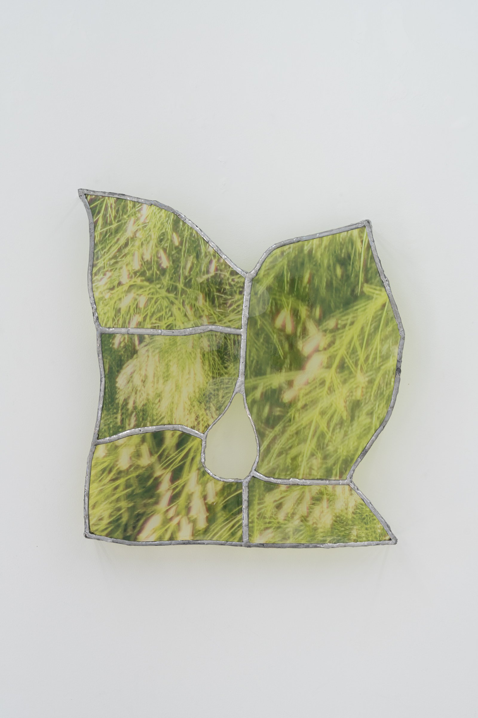 Toplisek_Amber_2 Surface Glint - Amber Toplisek.jpg