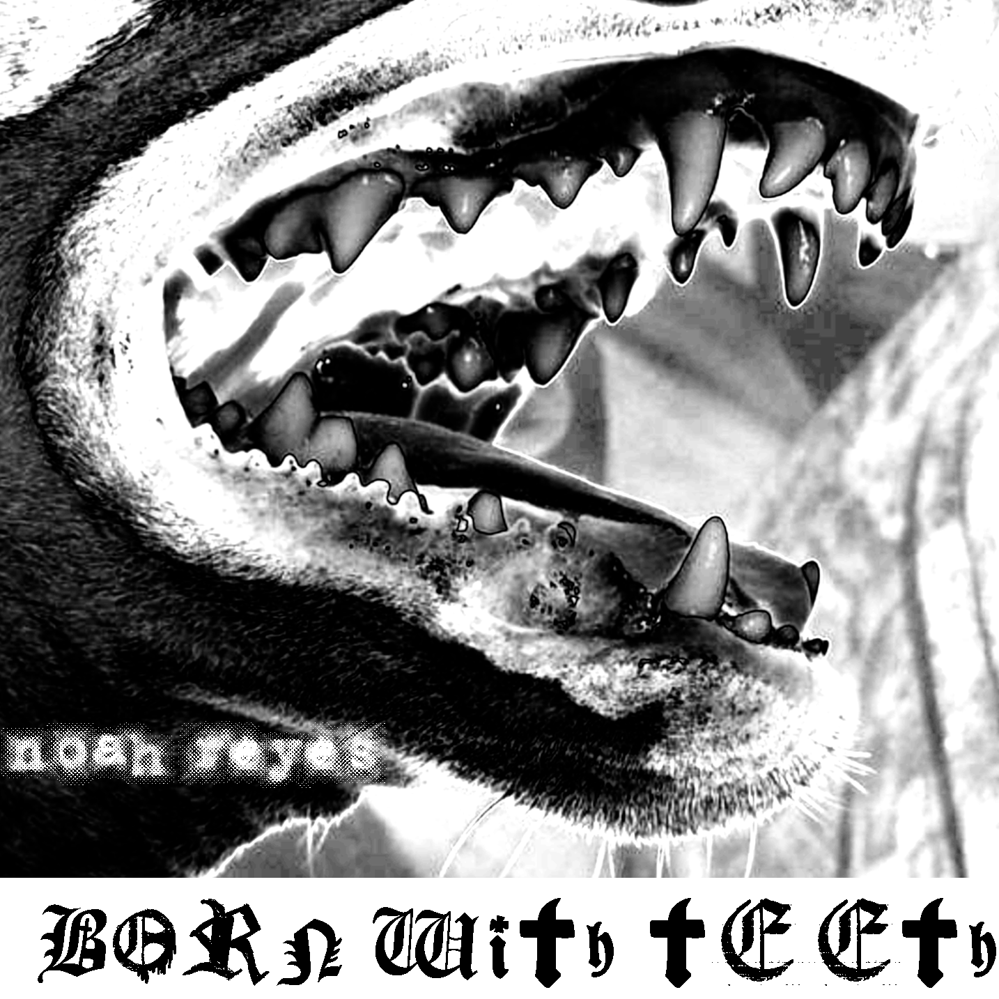 Noah Reyes: Born with Teeth