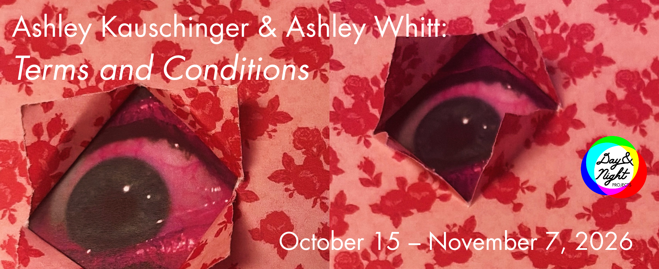 Ashley Kauschinger &amp; Ashley Whitt: Terms and Conditions