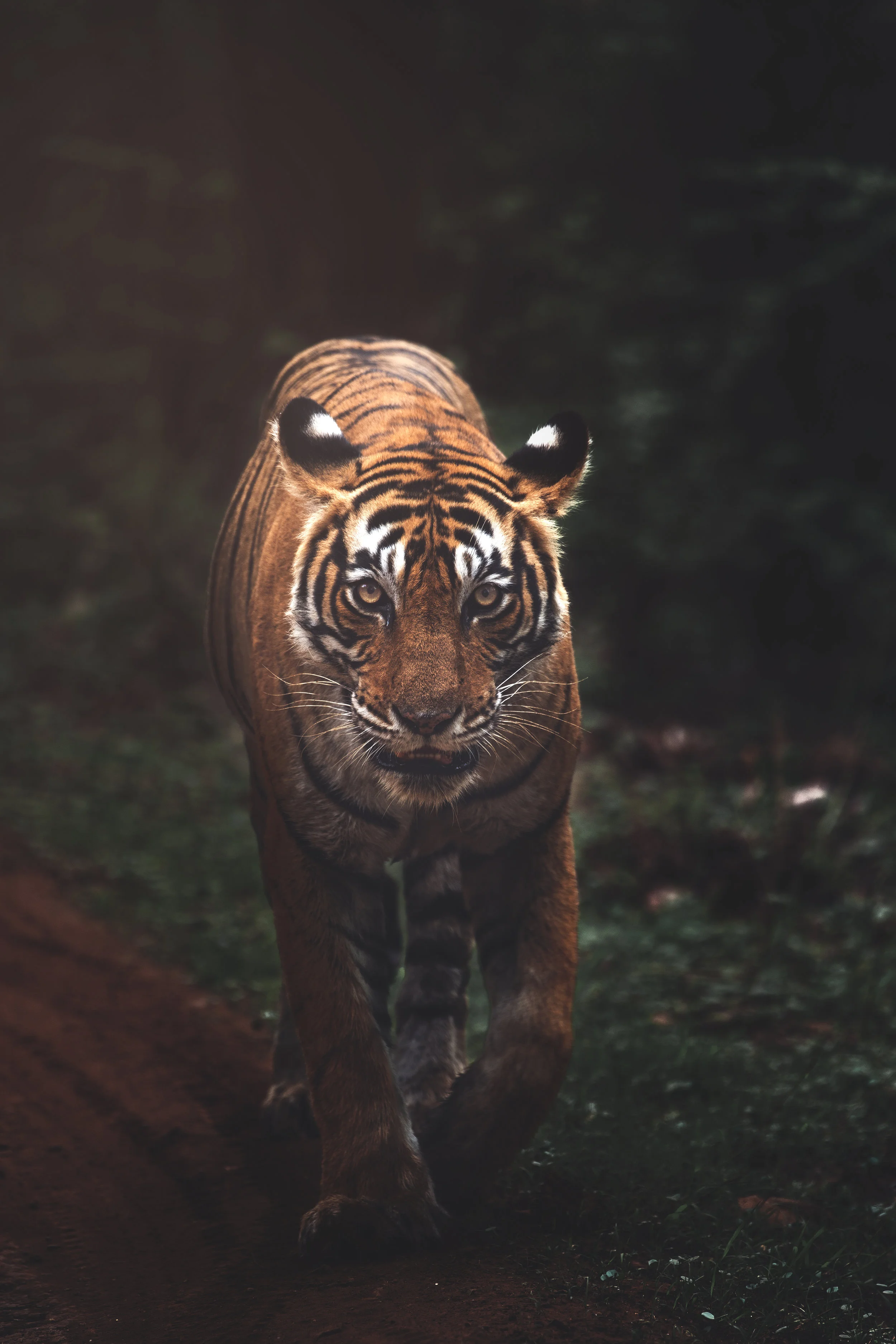 Anger