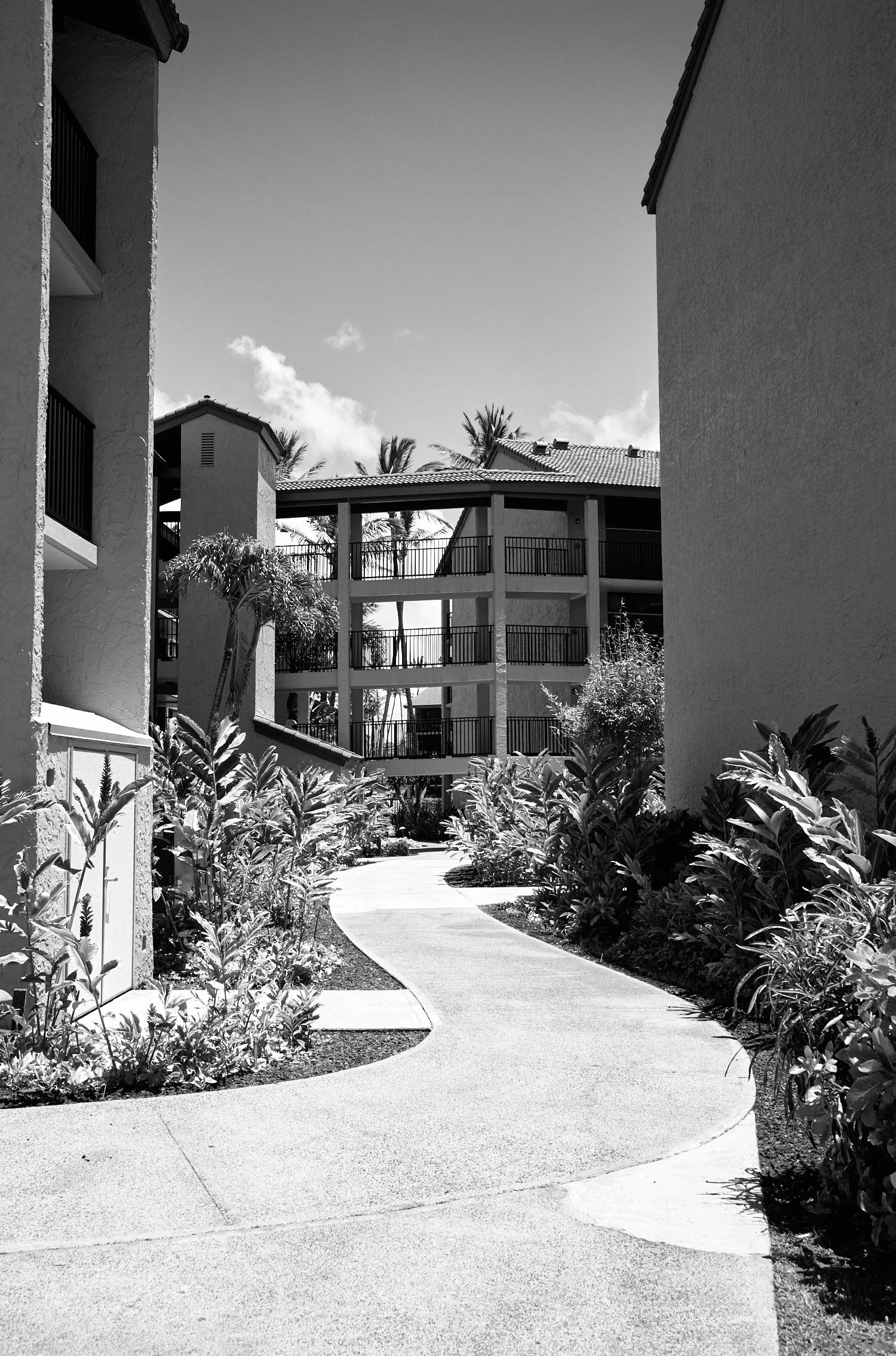 Aston Papakea, Kaanapali, Maui, Hawaii Leica M10R, 35mm Summicron