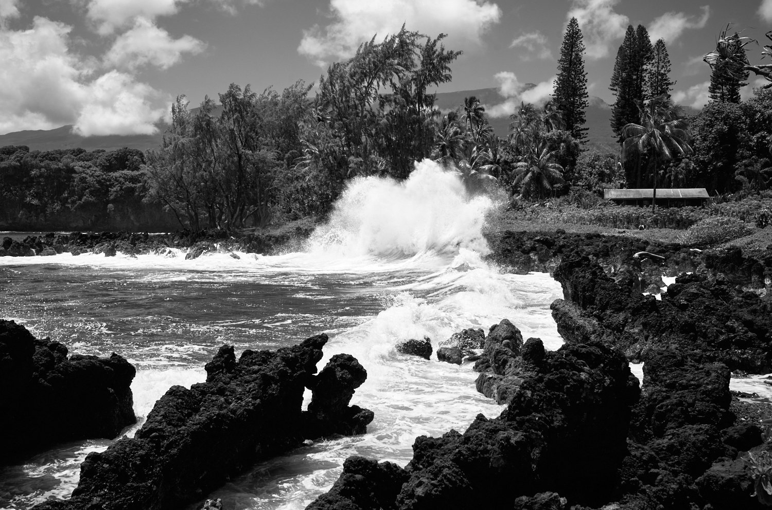 Maui Waves Crashing