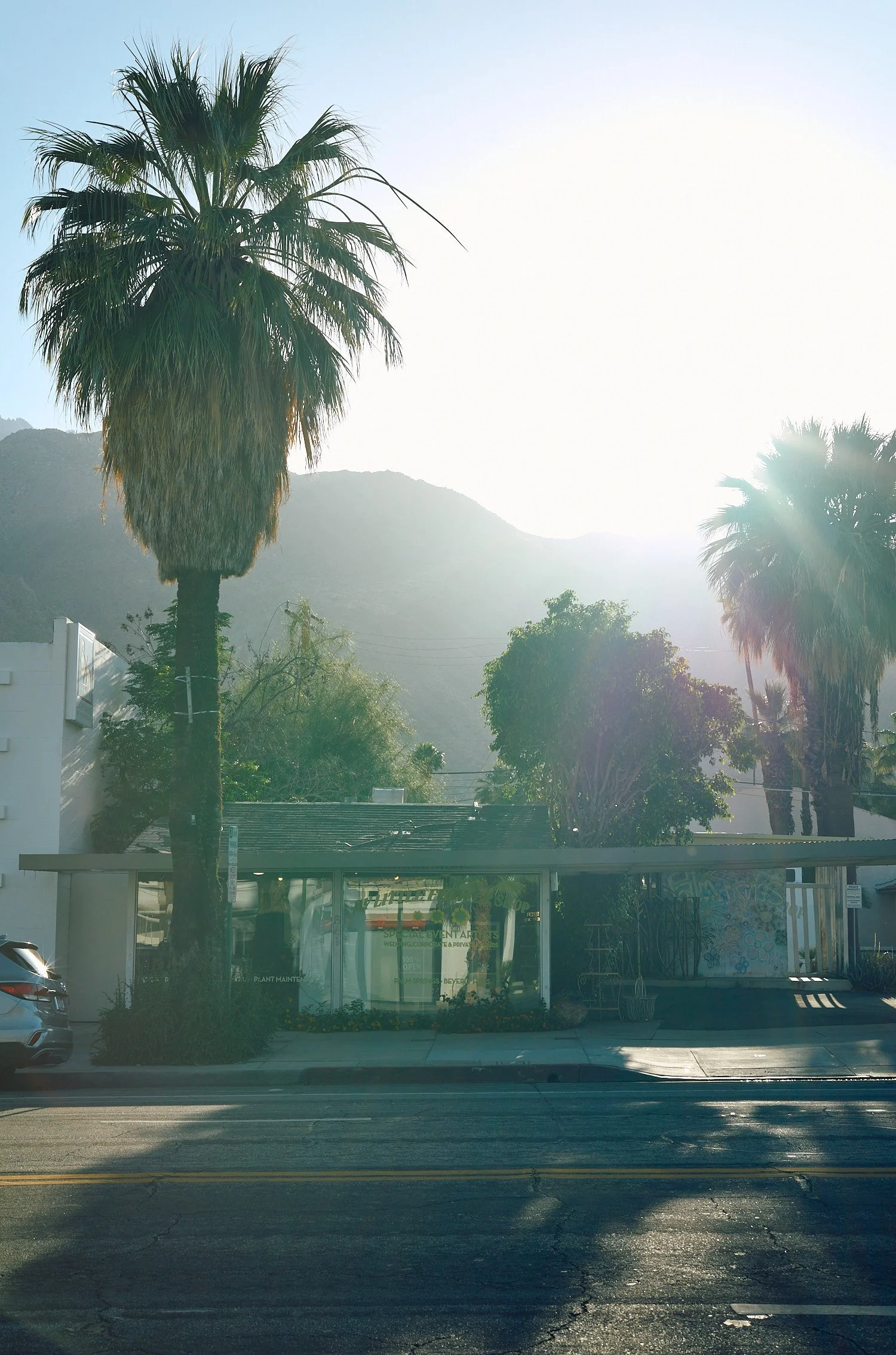 Palm Springs