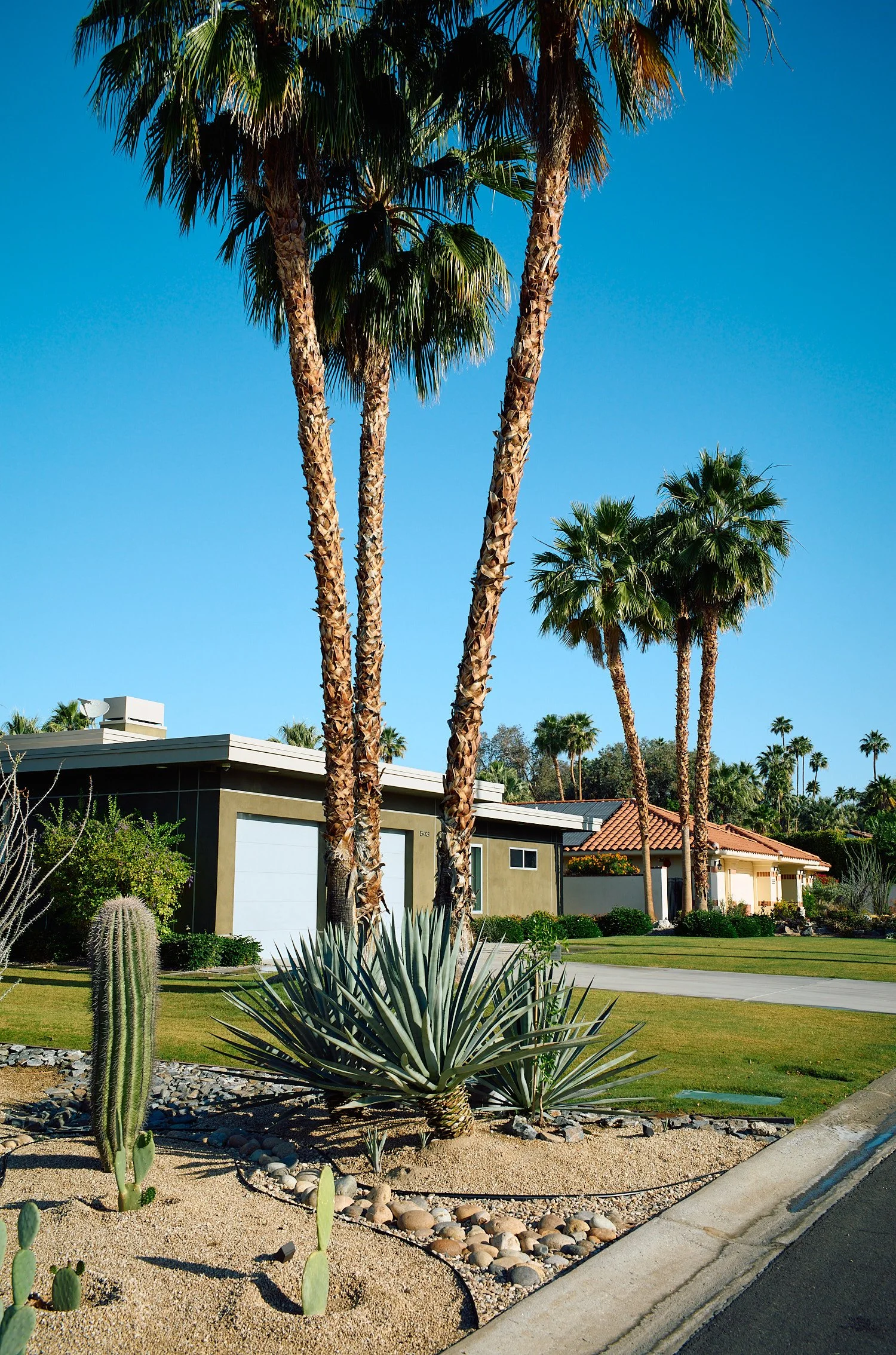 Palm Springs Homes
