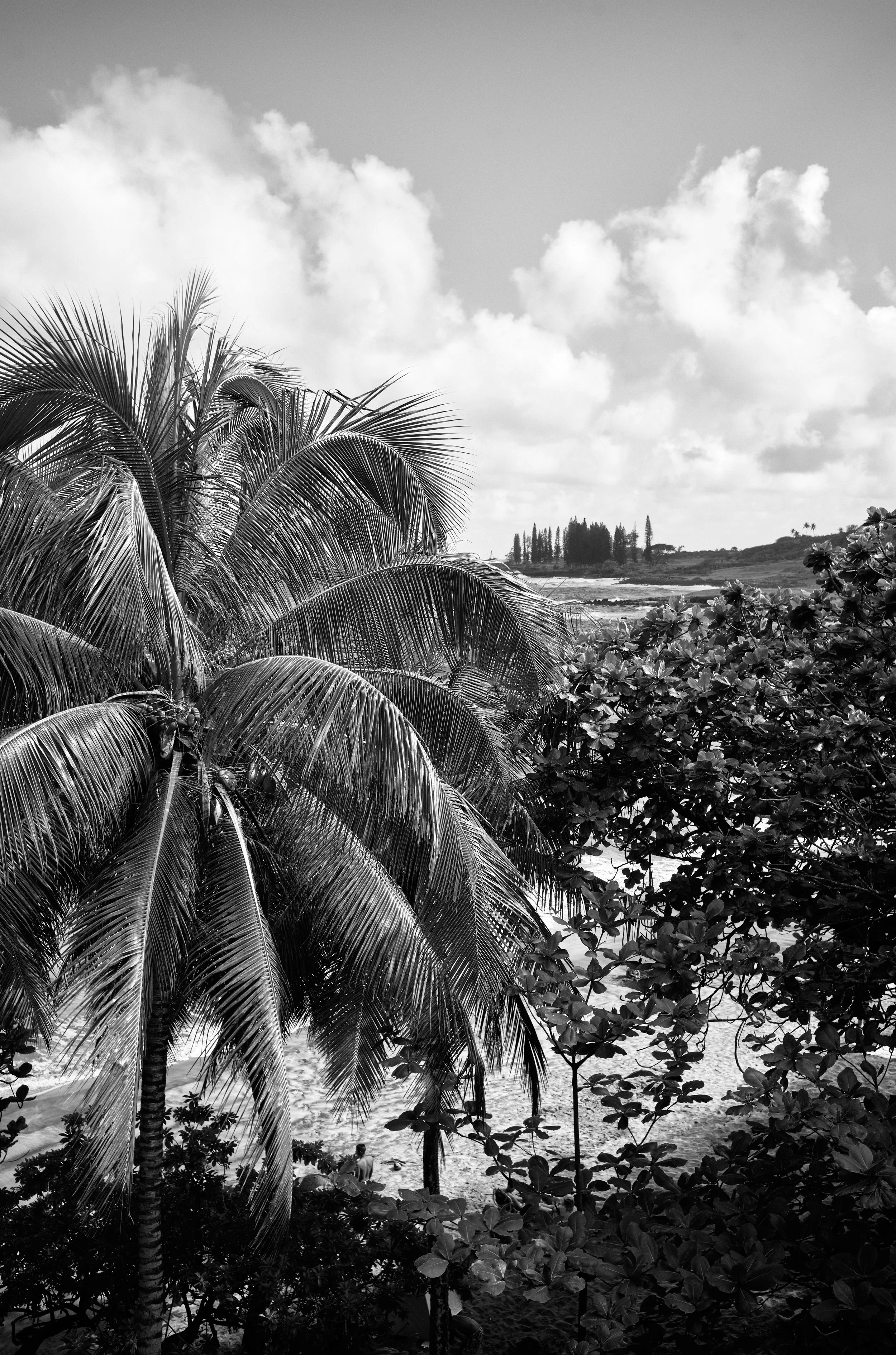 Black Sand Beach Hawaii