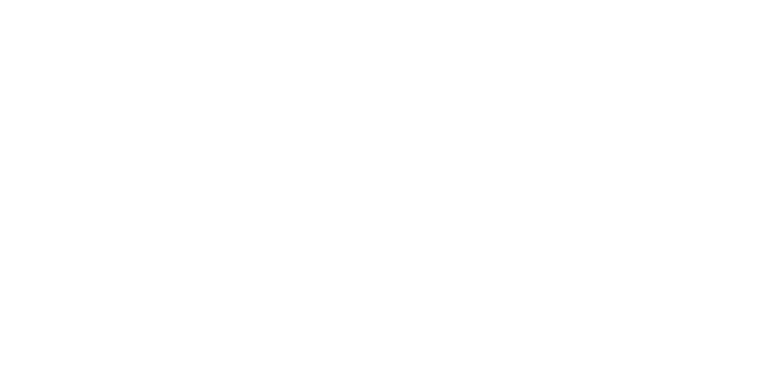 Digital Village