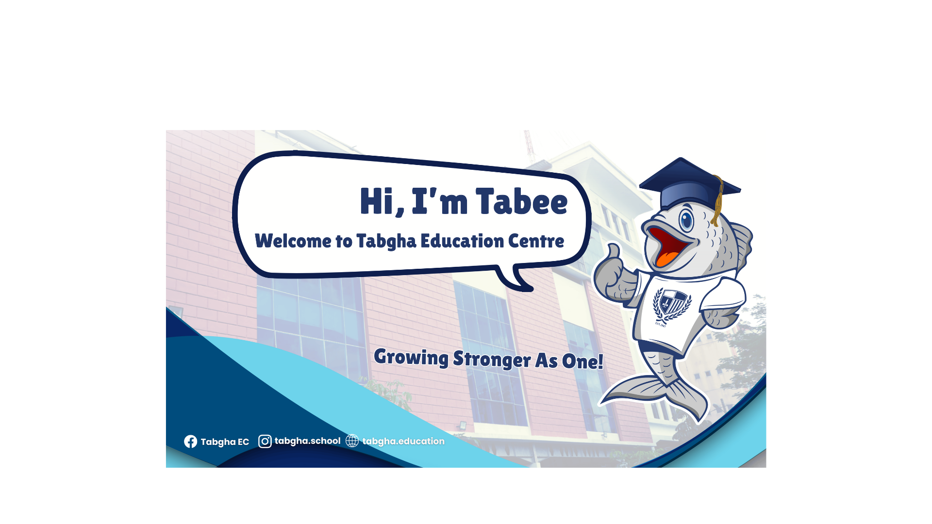 Tabee website.png
