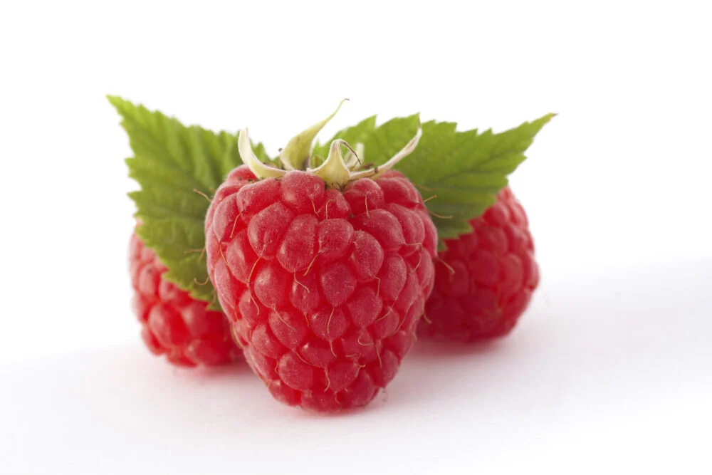 raspberries3-e1576523550874.jpg