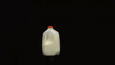 HarmlessHonestGermanwirehairedpointer-size_restricted.gif