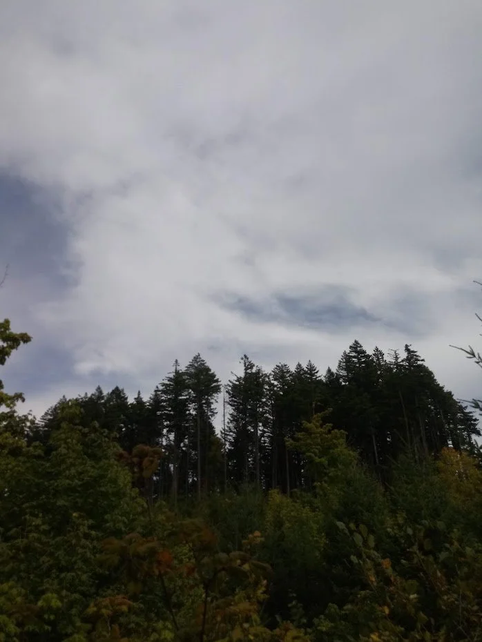 20190914_132043.jpg