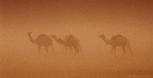 tumblr_m1z0kuf8TJ1r4zr2vo1_r1_500.gif