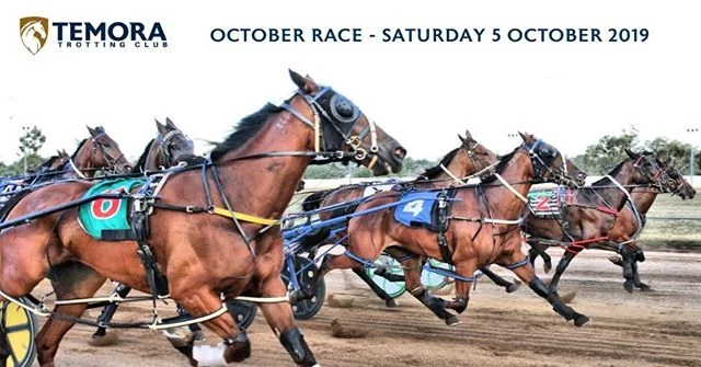 Races on 5 October 2019
Our first race for the season!
.
You can expect 8 harness races run with half an hour in between each. The first race will be at 6.05pm and the last at 9.34pm.
.
Jumping Beans Fun For Hire Jumping Castles will provide free fun