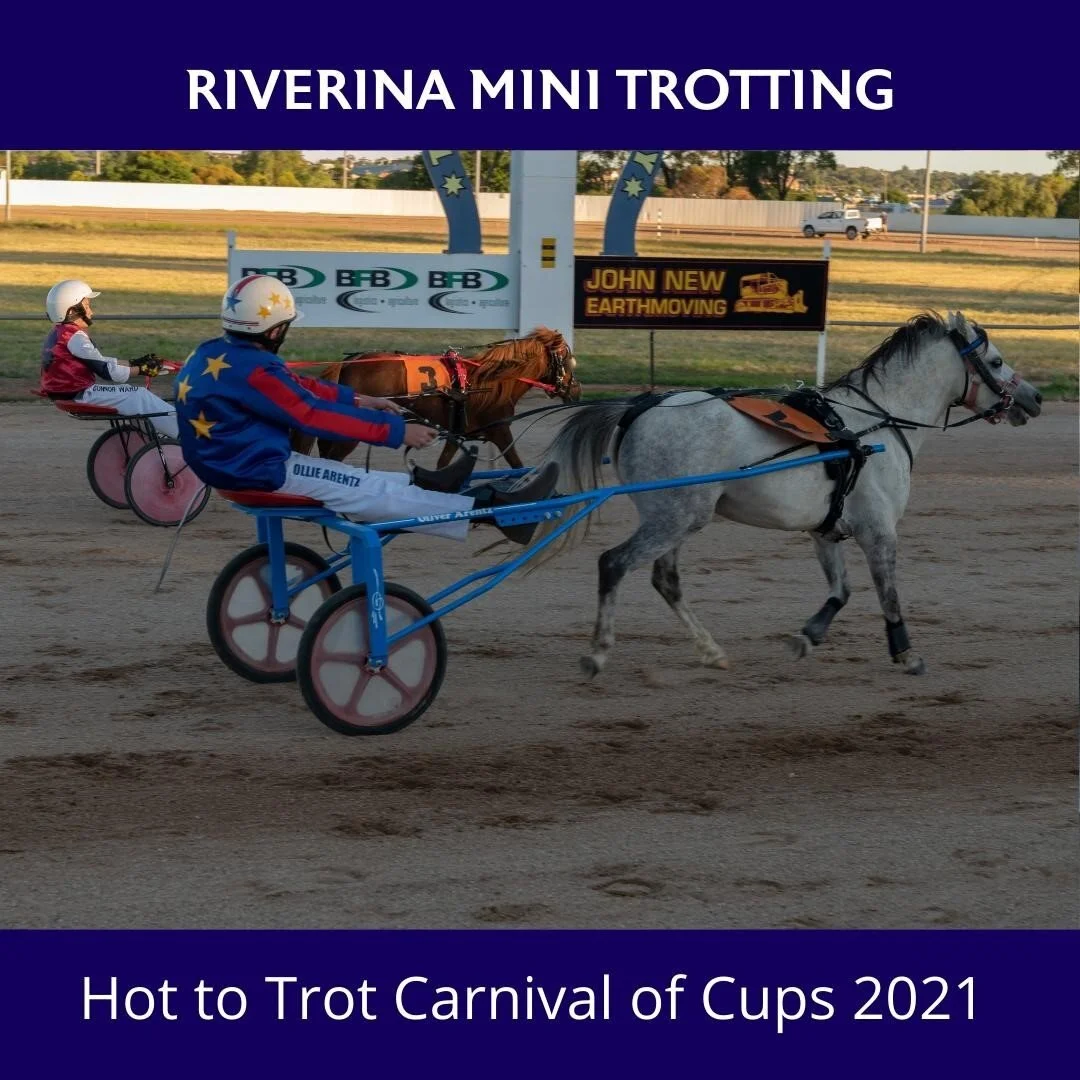 Did anyone witness a closer finish all night at our Hot to Trot Carnival of Cups on 9 January 2021?
.
#HRNSW #harnessracing #harnessracingnsw #harnessracingaustralia #temoratrotting #temoratrottingclub #temoratrots #riverinaevents #visitriverina #vis