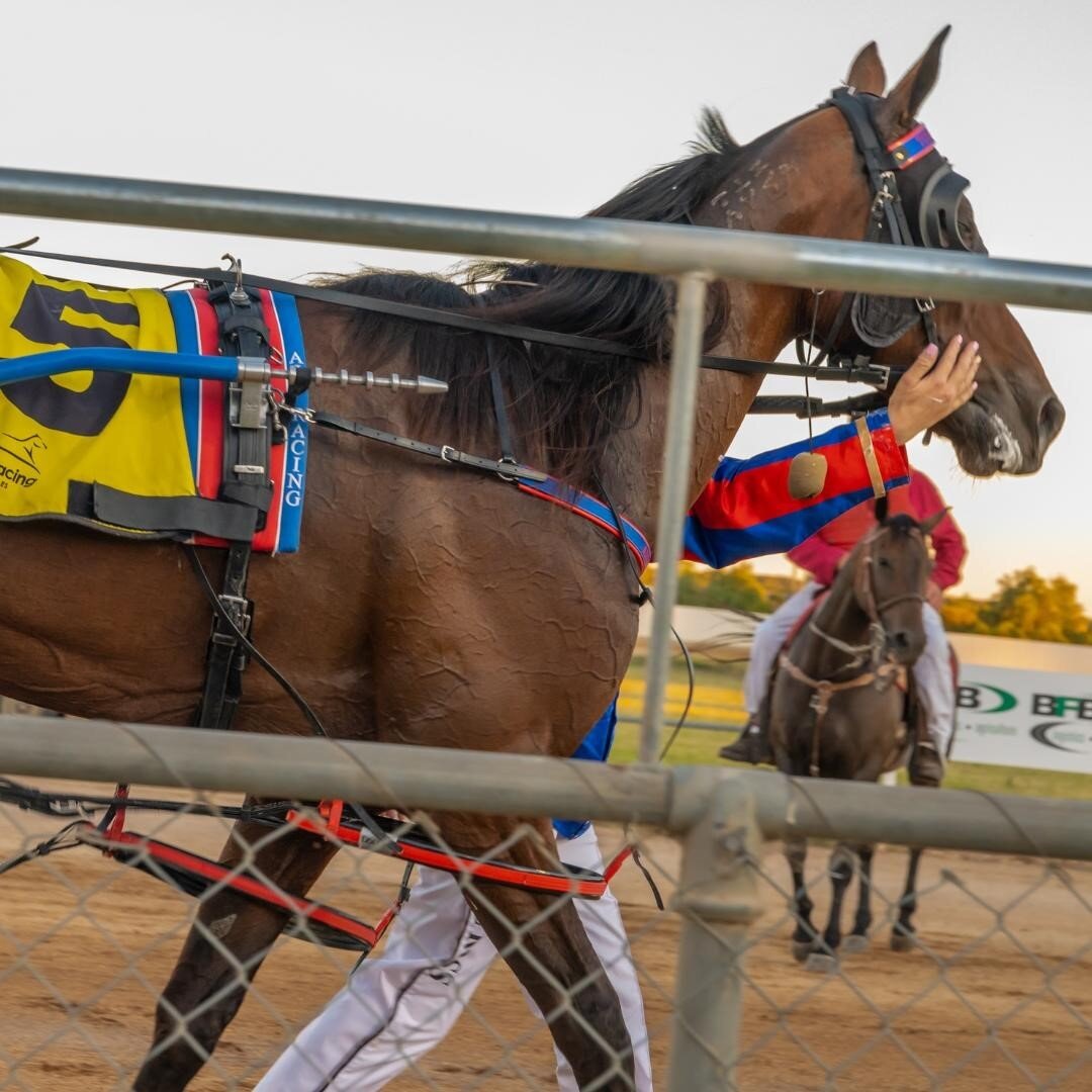 We love how our participants love their horses.
.
This is our BFB &amp; New Earthmoving Temora Pacers Cup 2021 winner, Gotta Party Doll, receiving a little extra attention and TLC from driver Isobel Ross right after her exciting win. 
.
Such a sweet 