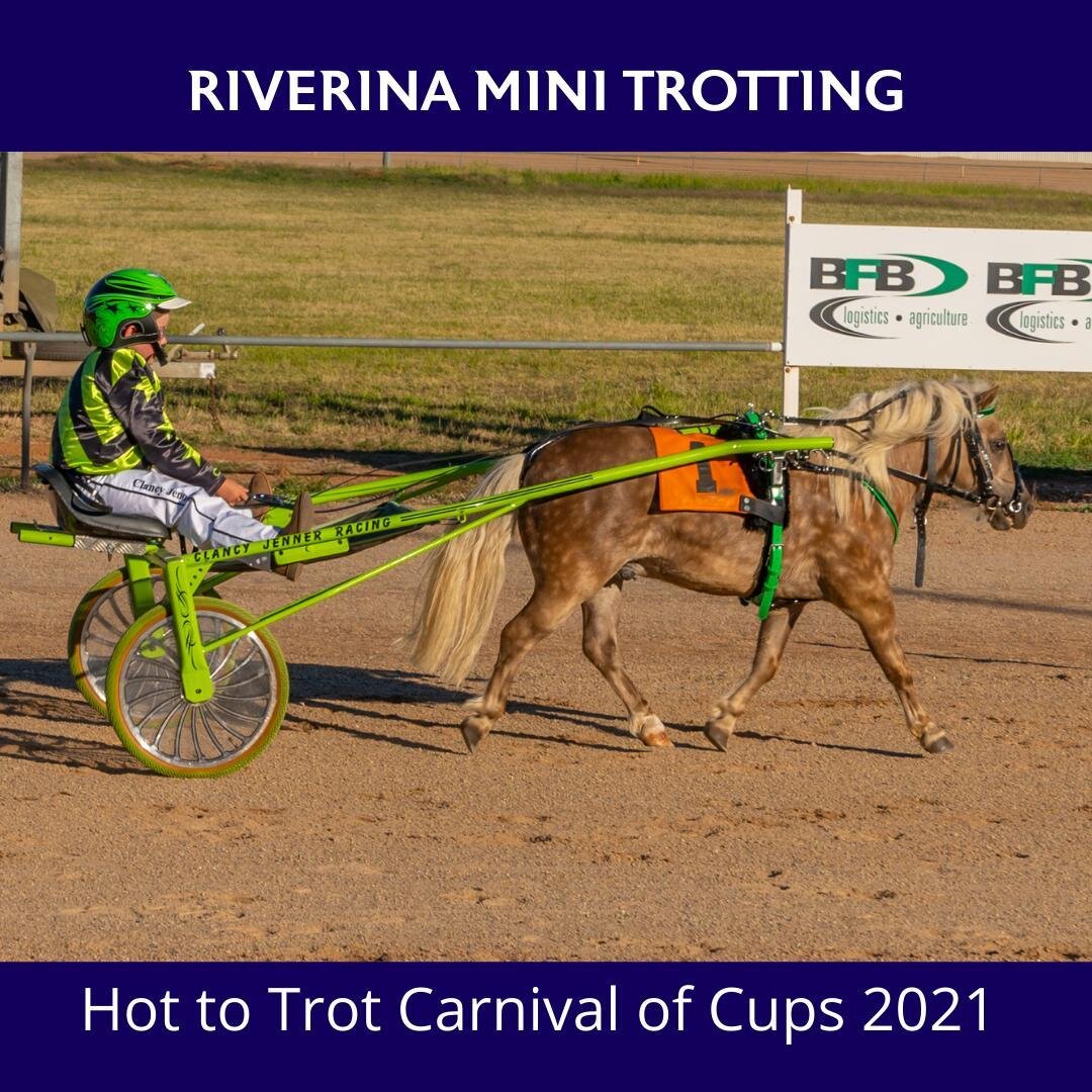 This little winner was Clancy Jenner's first race drive at Temora on 9 January 2021 - how good is that (plus how cute is he)?
.
#HRNSW #harnessracing #harnessracingnsw #harnessracingaustralia #temoratrotting #temoratrottingclub #temoratrots #riverina
