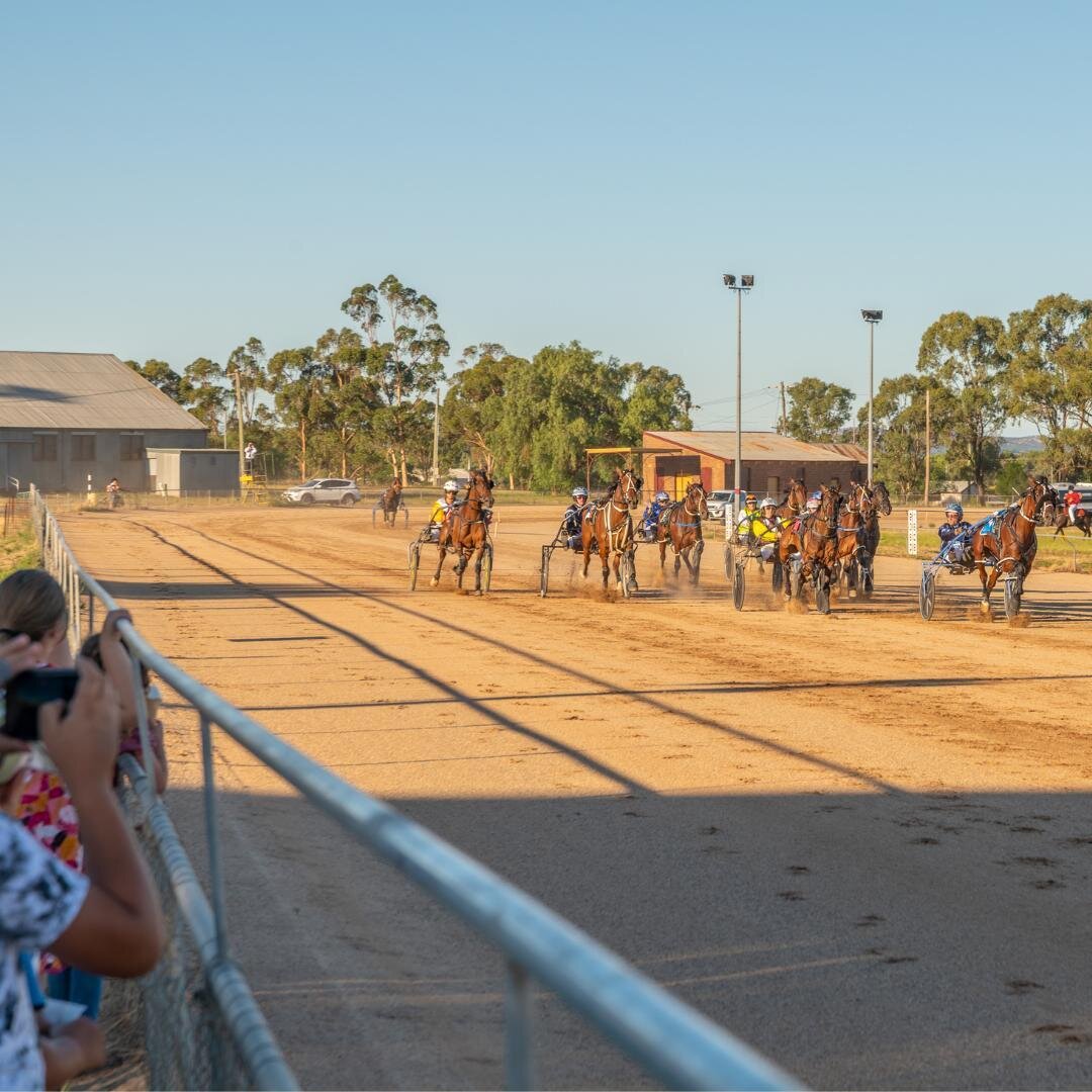 Nothing beats being this close to the action, with an ice cream!
.
At our Hot to Trot Carnival of Cups 9 January 2021
.
#HRNSW #harnessracing #harnessracingnsw #harnessracingaustralia #temoratrotting #temoratrottingclub #temoratrots #riverinaevents #