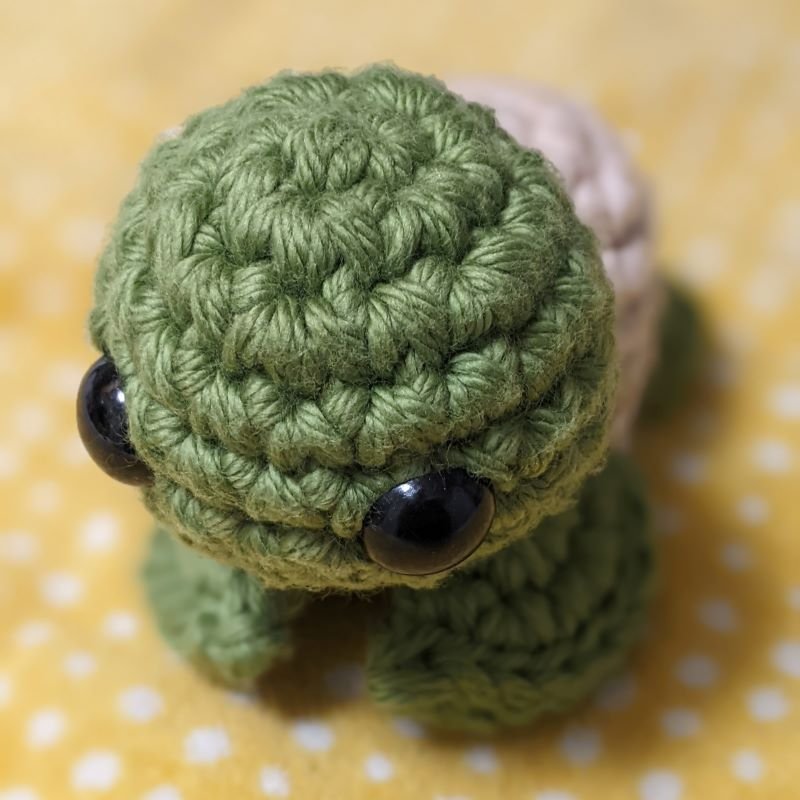 BigTurt_Sage.jpg