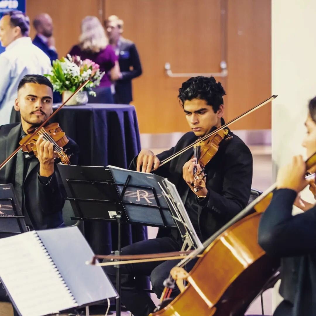 In-action for @connectmpid at their Cocktail Event 🥂🎻

#stringquartet #classicalmusic #classical #cocktail #corporate #corporateevents