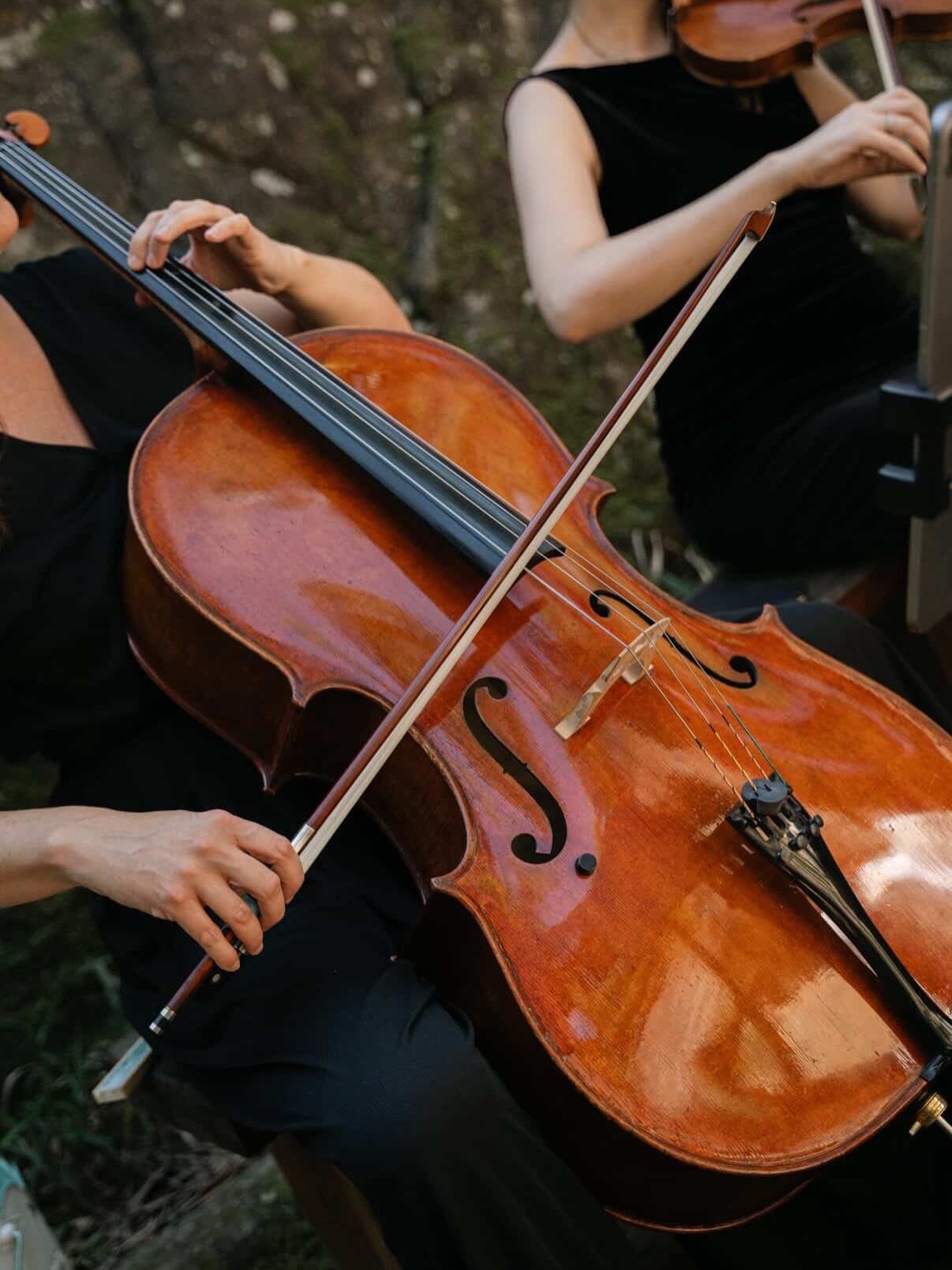 Our String Duet added the touch of Bridgerton elegance at this intimate wedding in nature for Kyle and Rachel, surrounded by loved ones in the nature of Kangaroo Valley Bush Retreat 🤍

Setlist:

1. Processional: Wildest Dreams &ndash; Duomo (Bridger