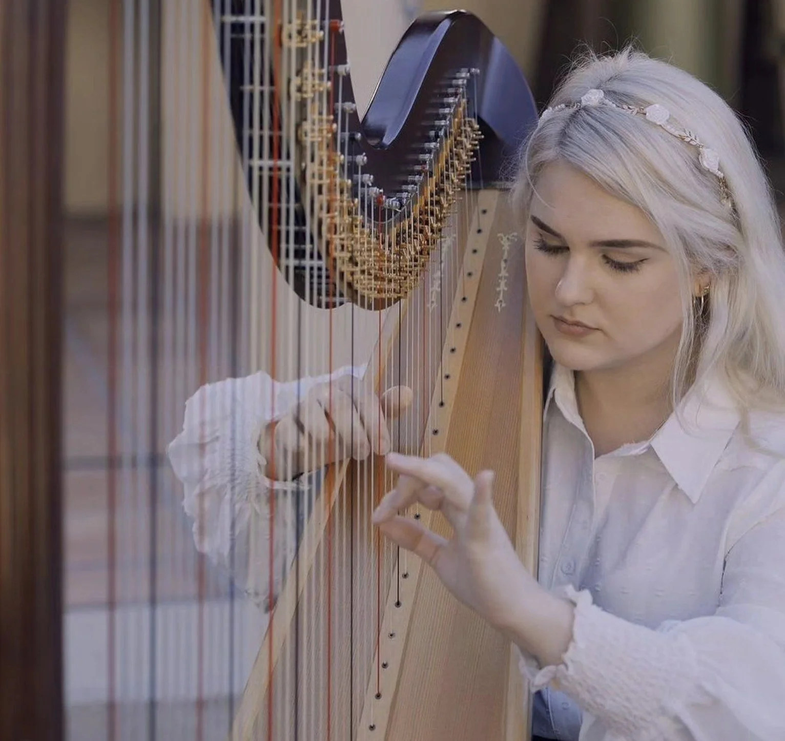 kaela harp.jpg