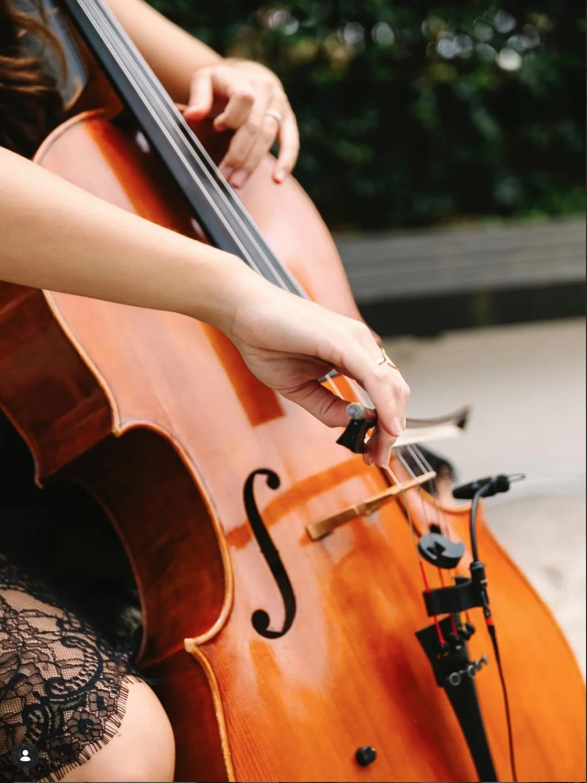 Solo Cello